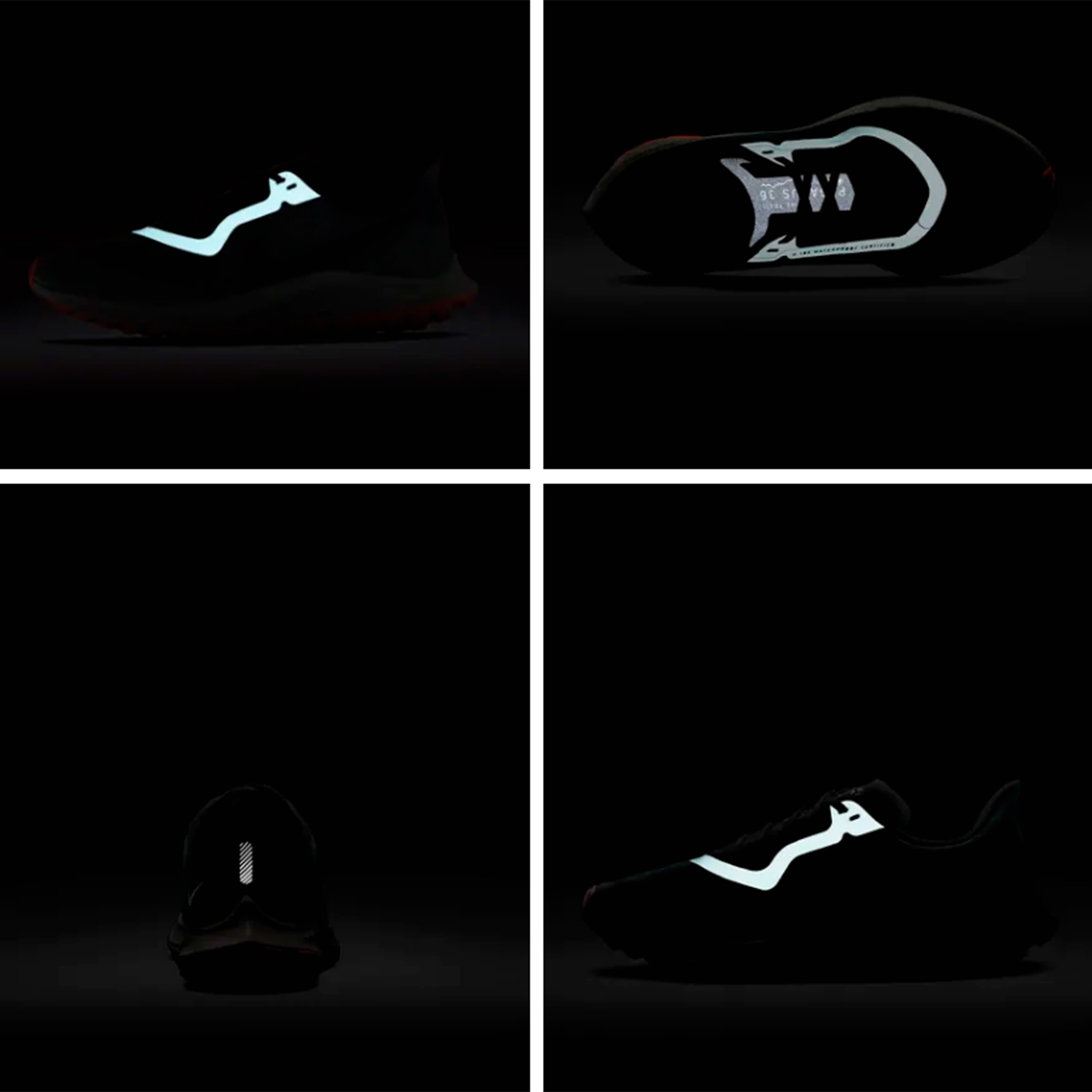 Nike Air Zoom Pegasus 36 Trail Gore-Tex Erkek Spor Ayakkabı