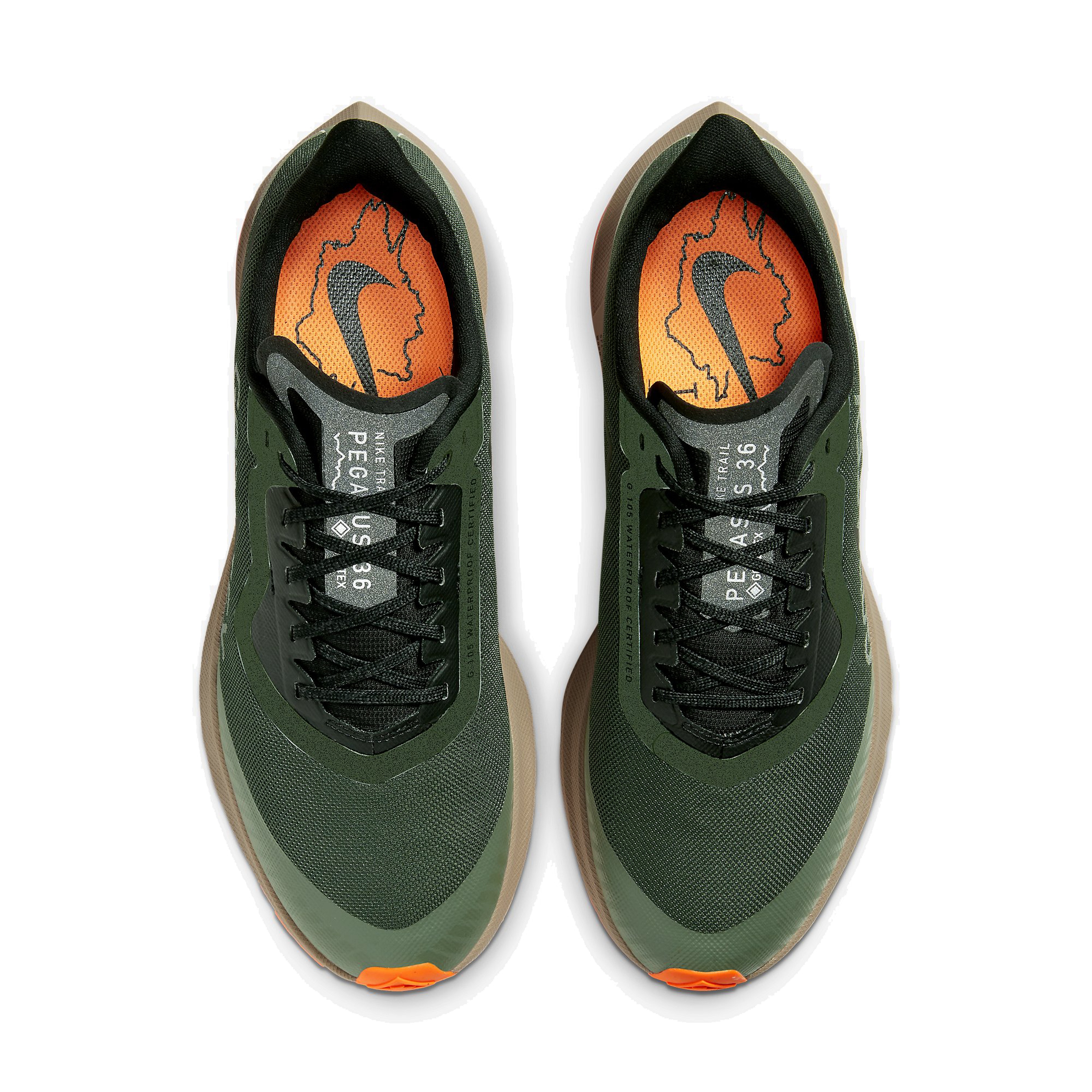 Nike Air Zoom Pegasus 36 Trail Gore-Tex Erkek Spor Ayakkabı | Barçın