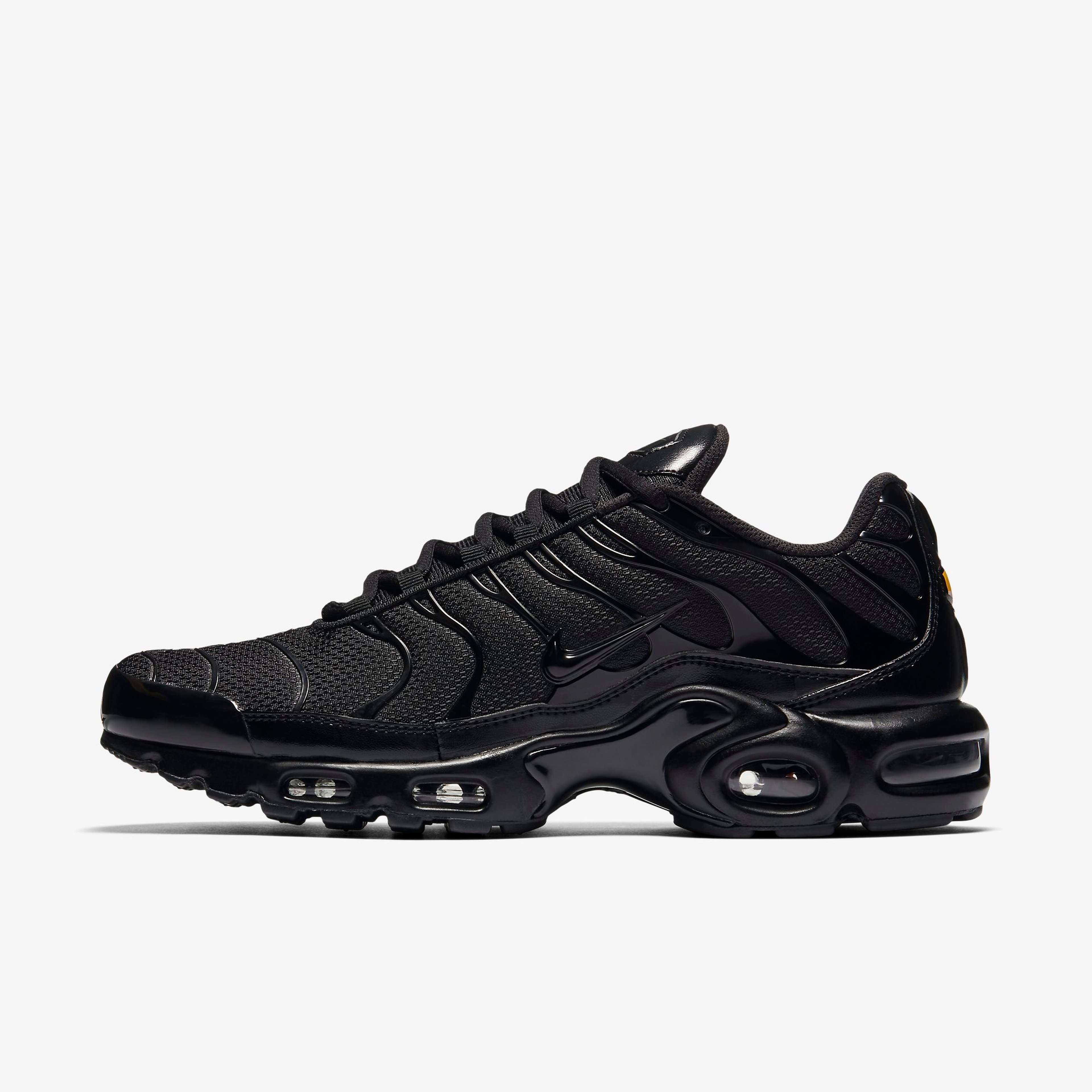 Nike Air Max Plus CO Erkek Spor Ayakkabı