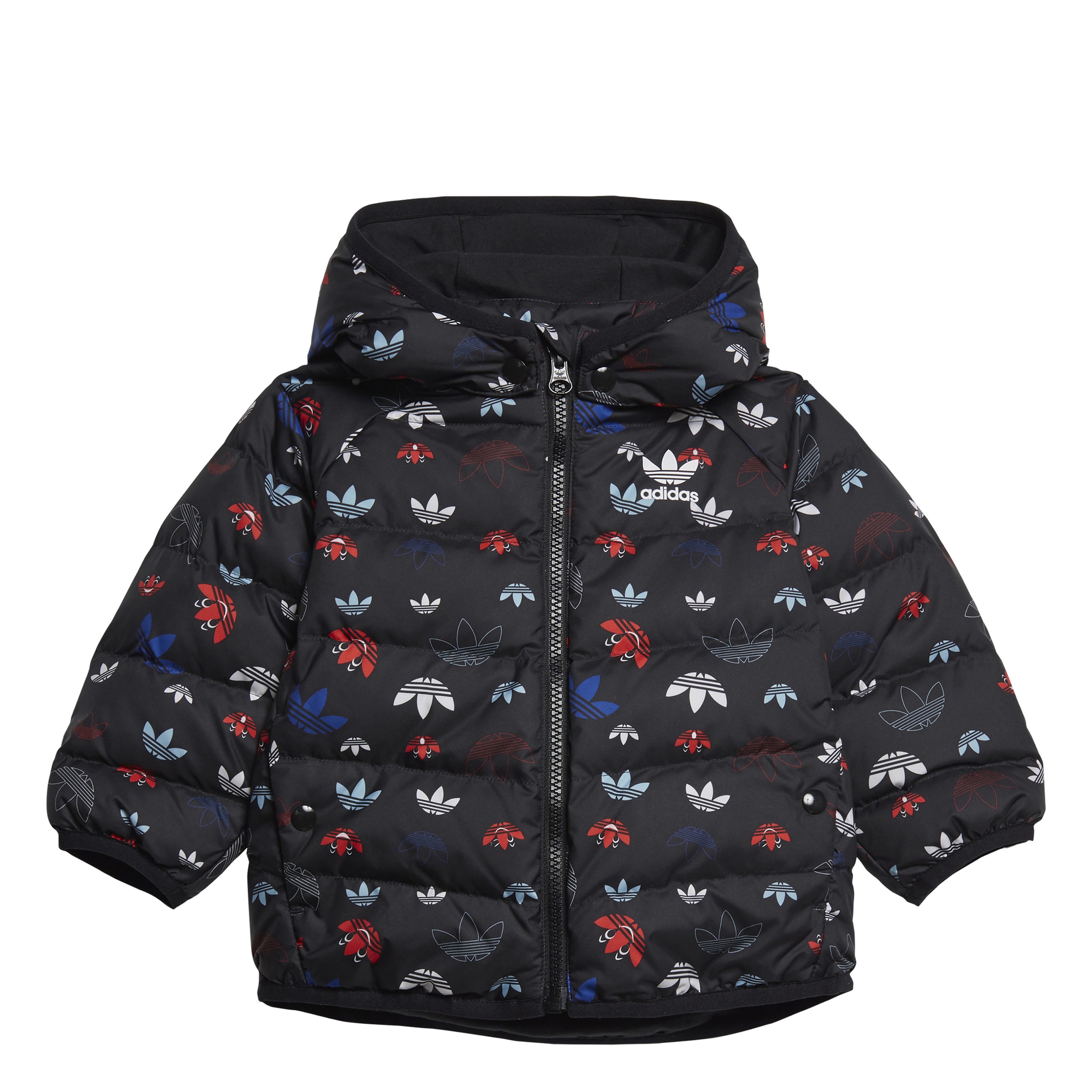 adidas Trefoil Down Hoodie Bebek Mont