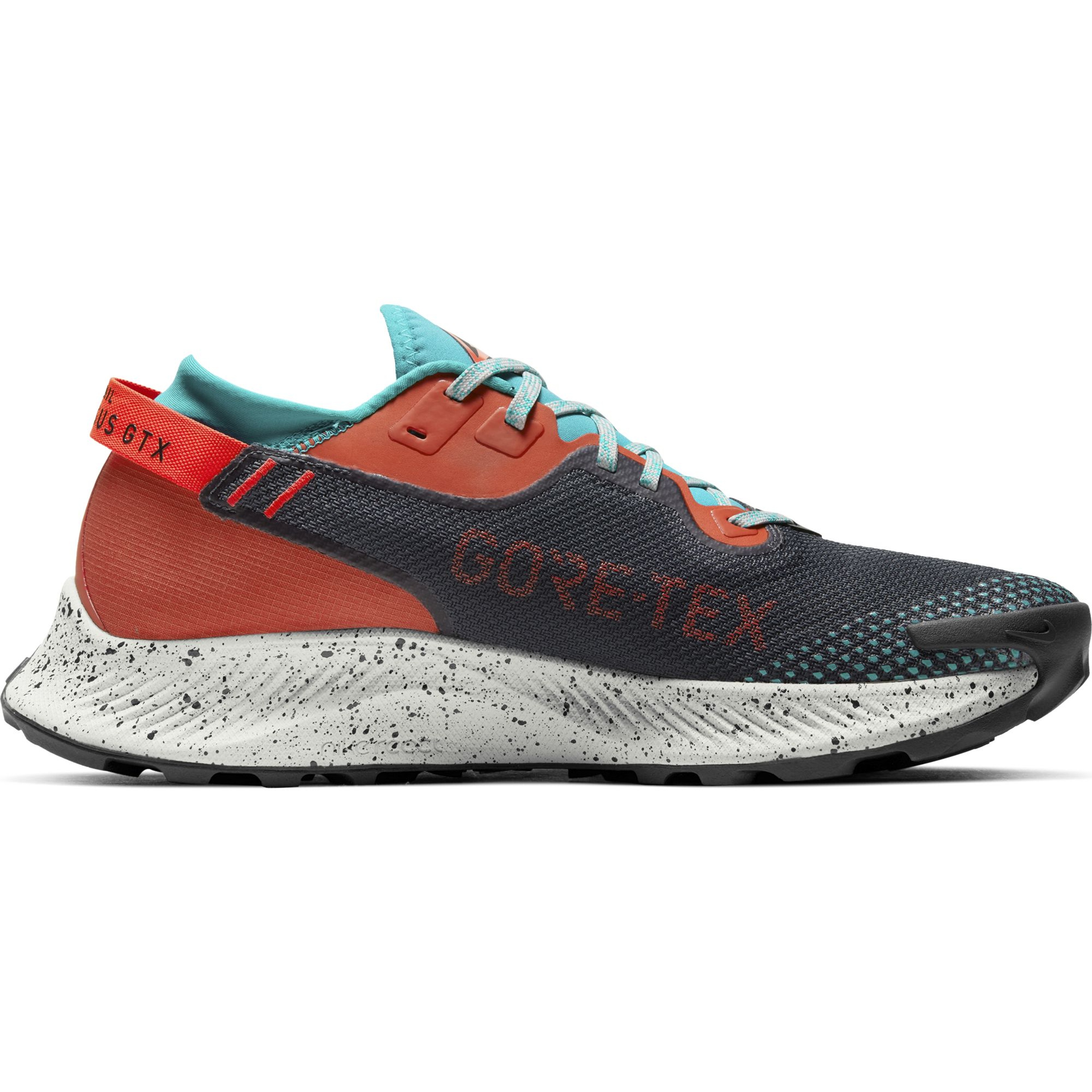 Nike Pegasus Trail 2 Gore-Tex Trail Running Erkek Spor Ayakkabı