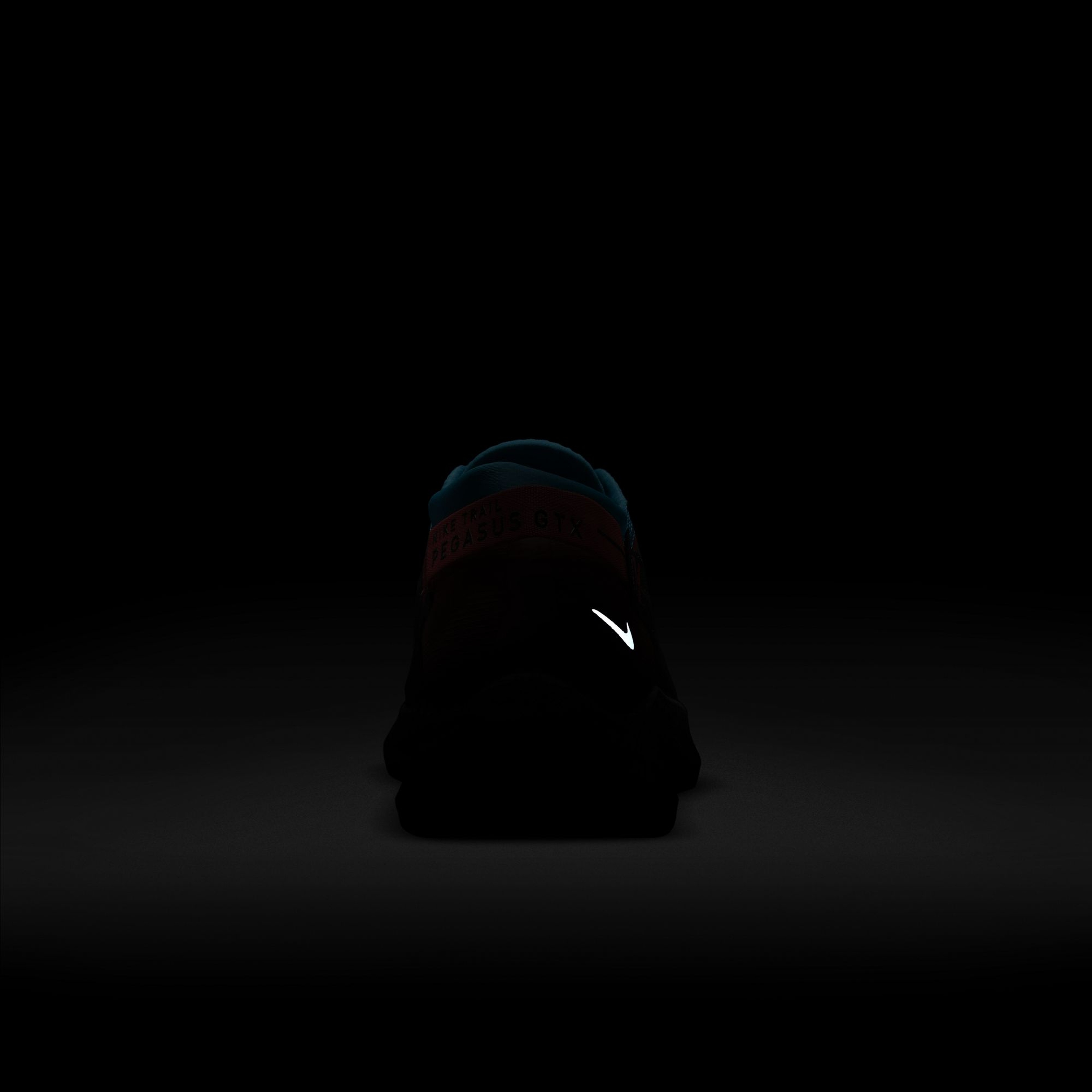 Nike Pegasus Trail 2 Gore-Tex Trail Running Erkek Spor Ayakkabı