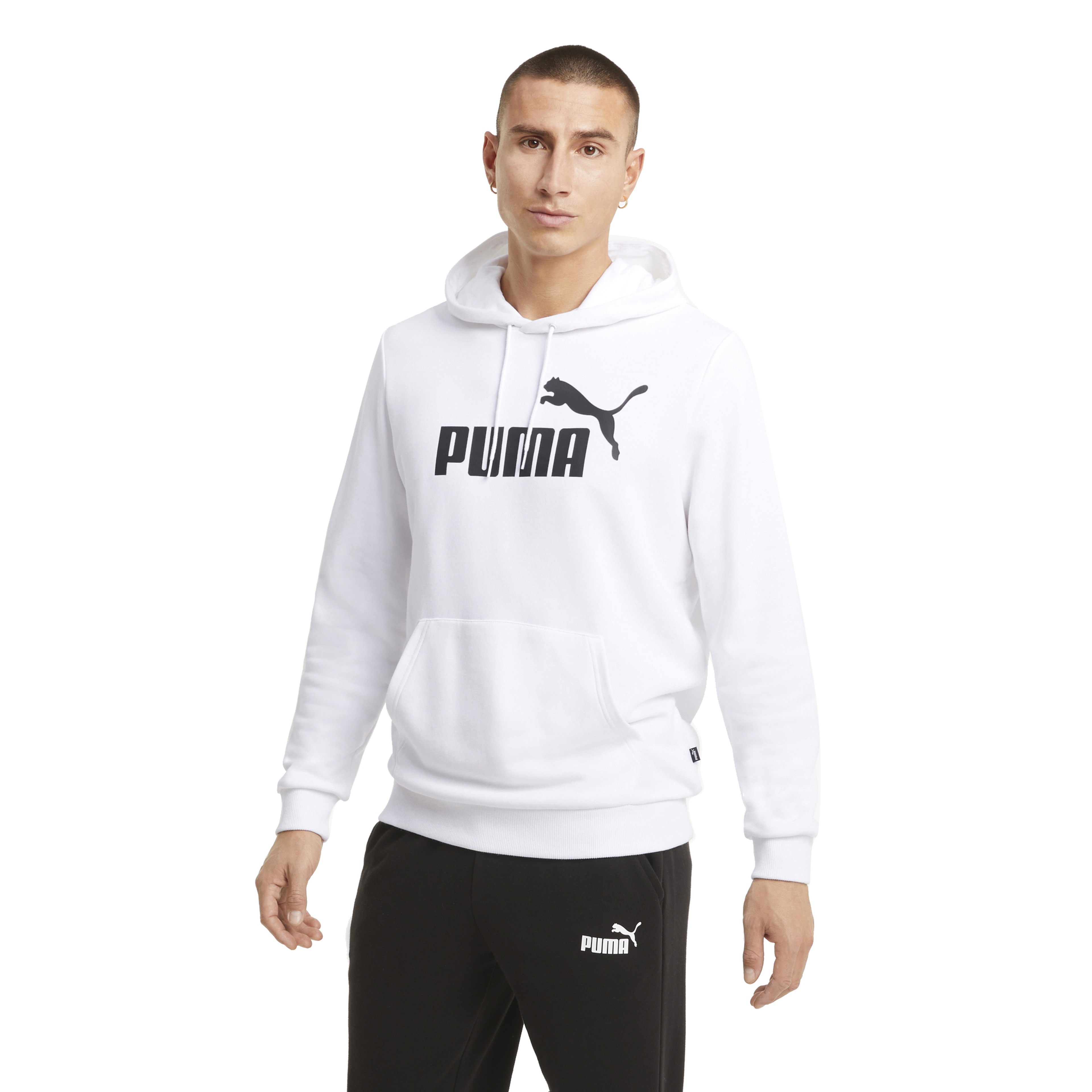 Puma Essentials Big Logo Hoodie Erkek Sweatshirt