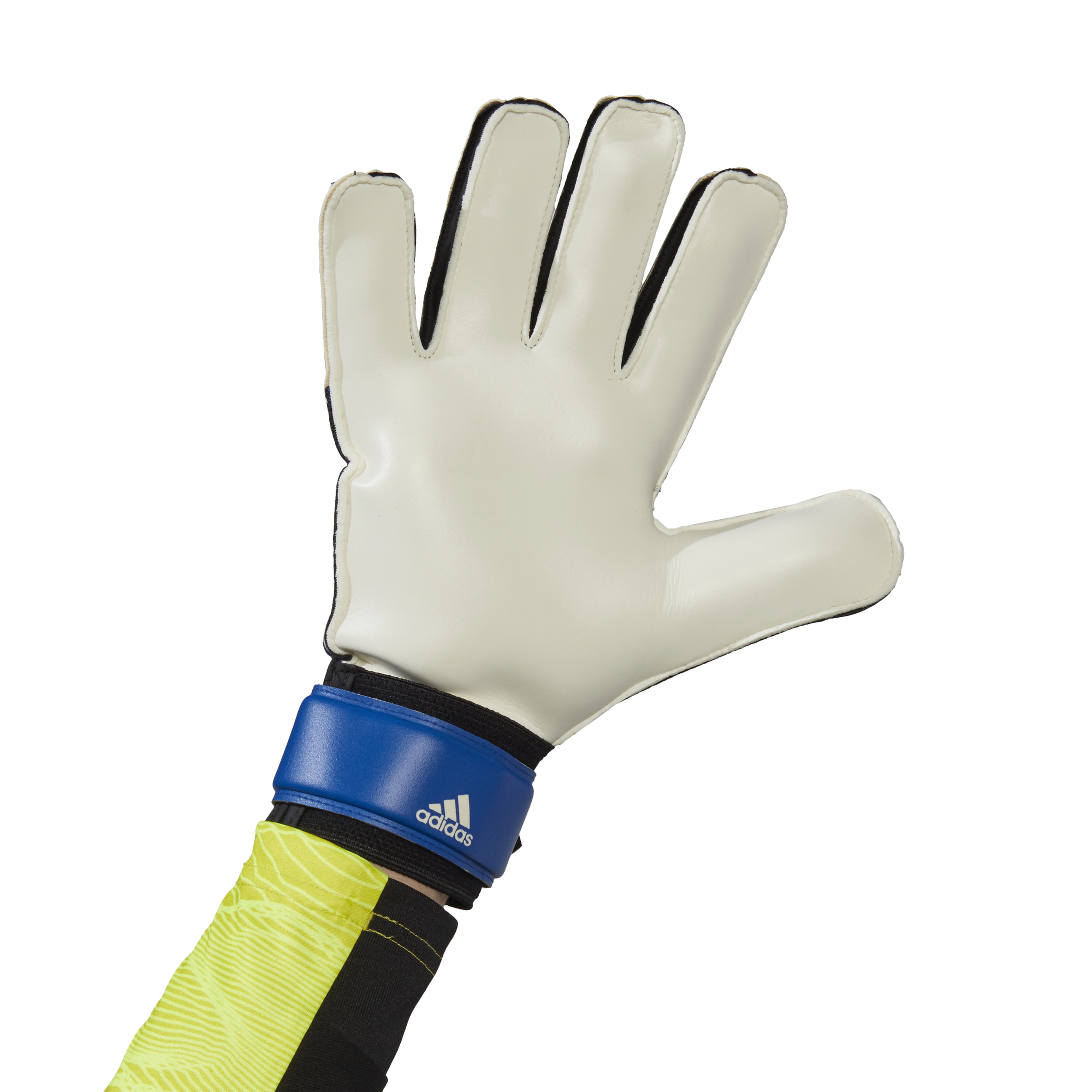 adidas Predator Training Erkek Kaleci Eldiveni