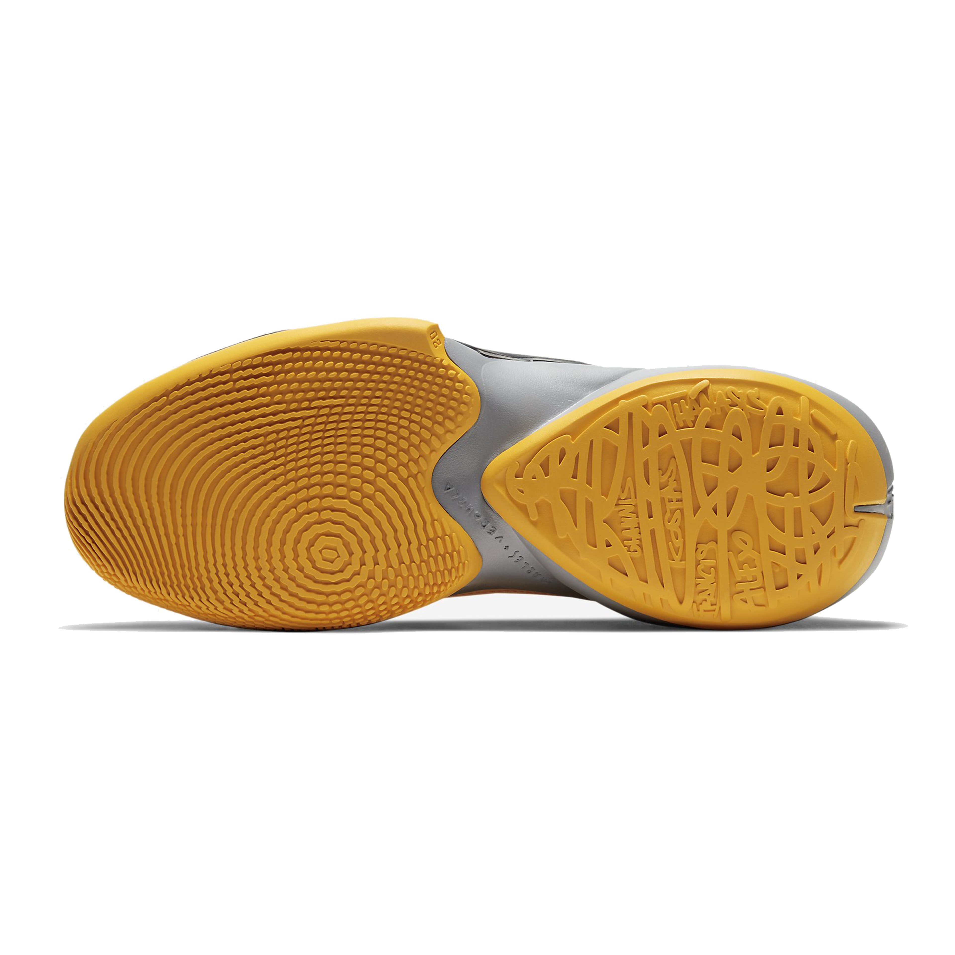 Nike Zoom Freak 2 Erkek Basketbol Ayakkabısı