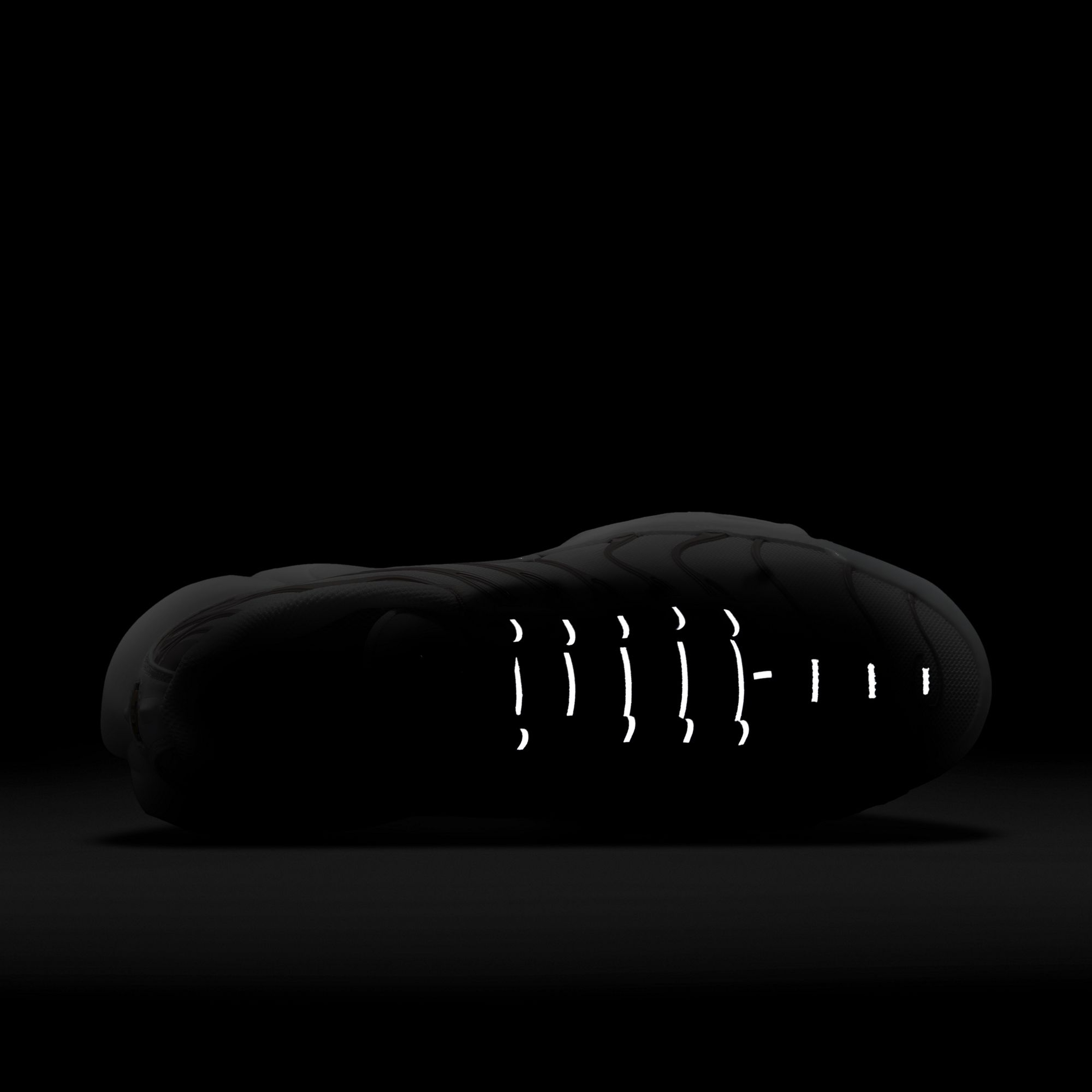 Nike Air Max Plus Kadın Spor Ayakkabı