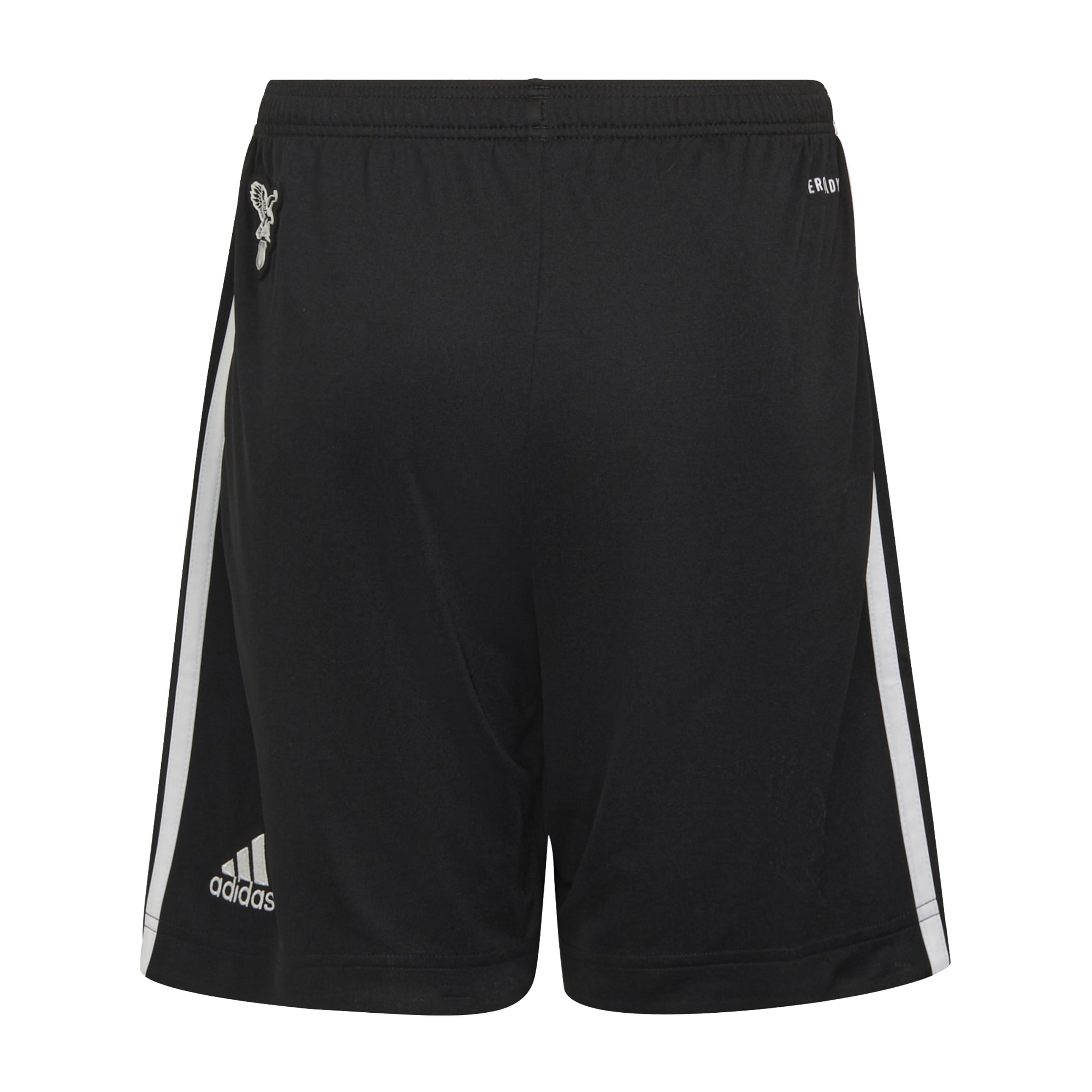 adidas Beşiktaş JK 2021-2022 Stadyum İç Saha Erkek Şort
