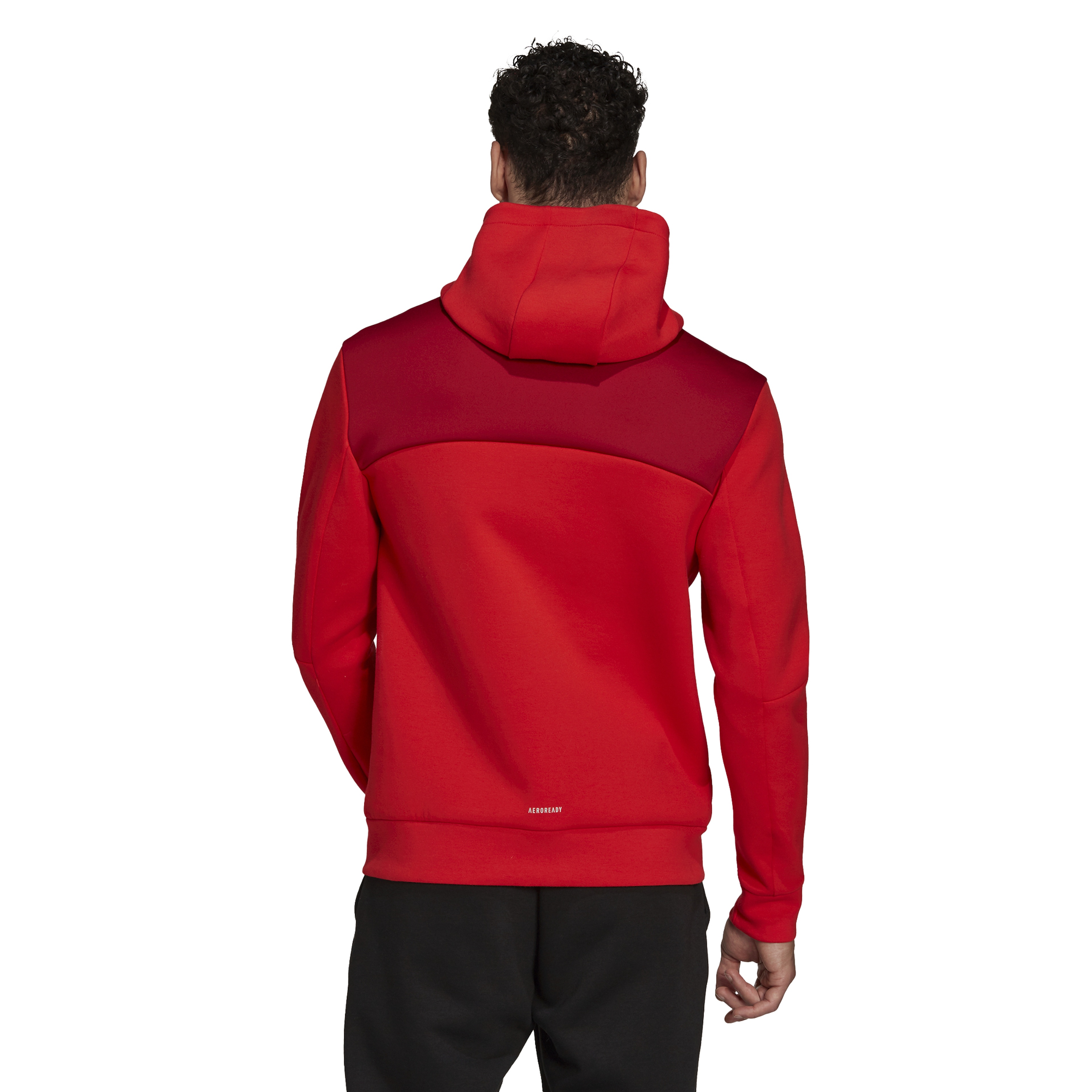 adidas Z.N.E. Sportswear Full-Zip CO Hoodie Erkek Sweatshirt | Barçın