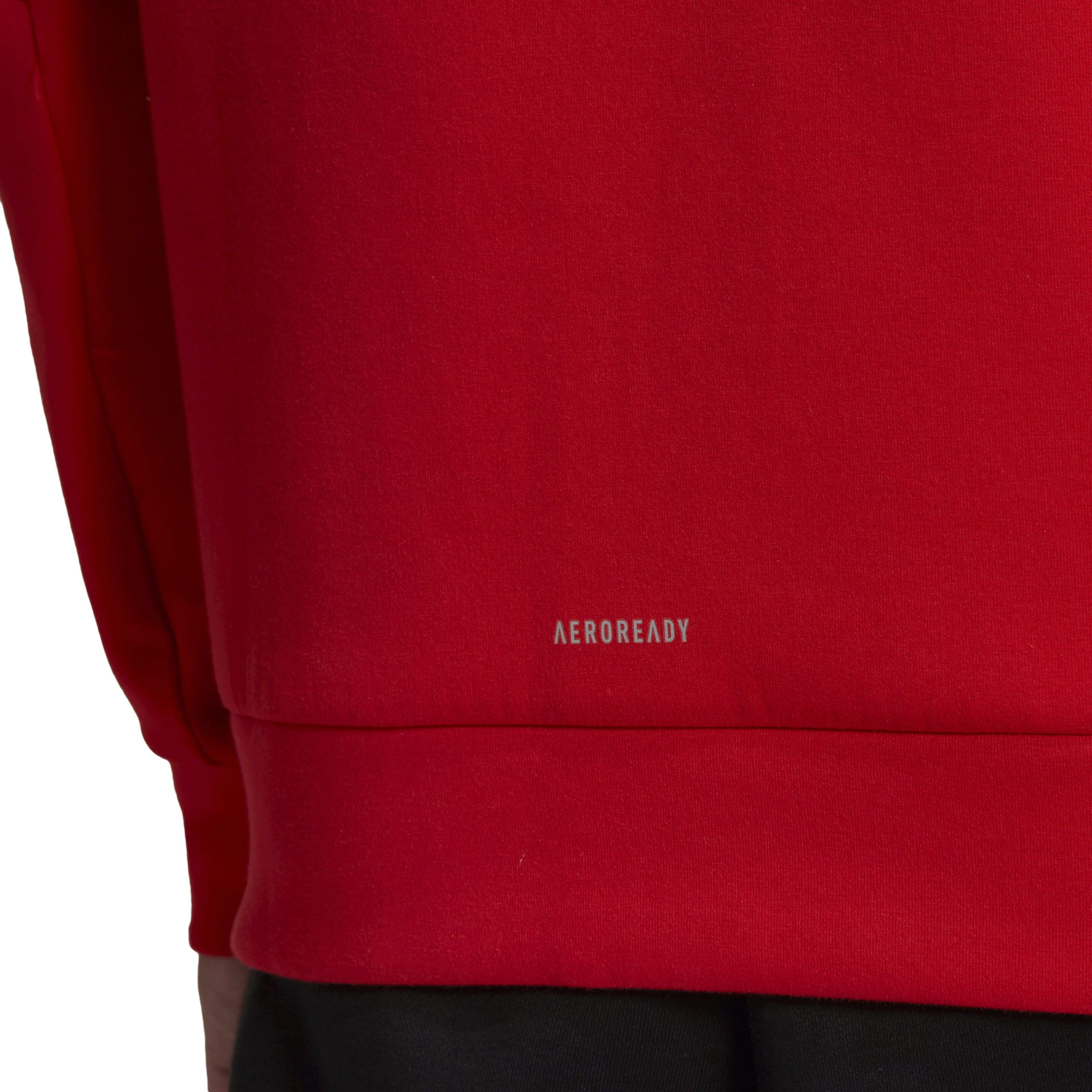 adidas Z.N.E. Sportswear Full-Zip CO Hoodie Erkek Sweatshirt | Barçın