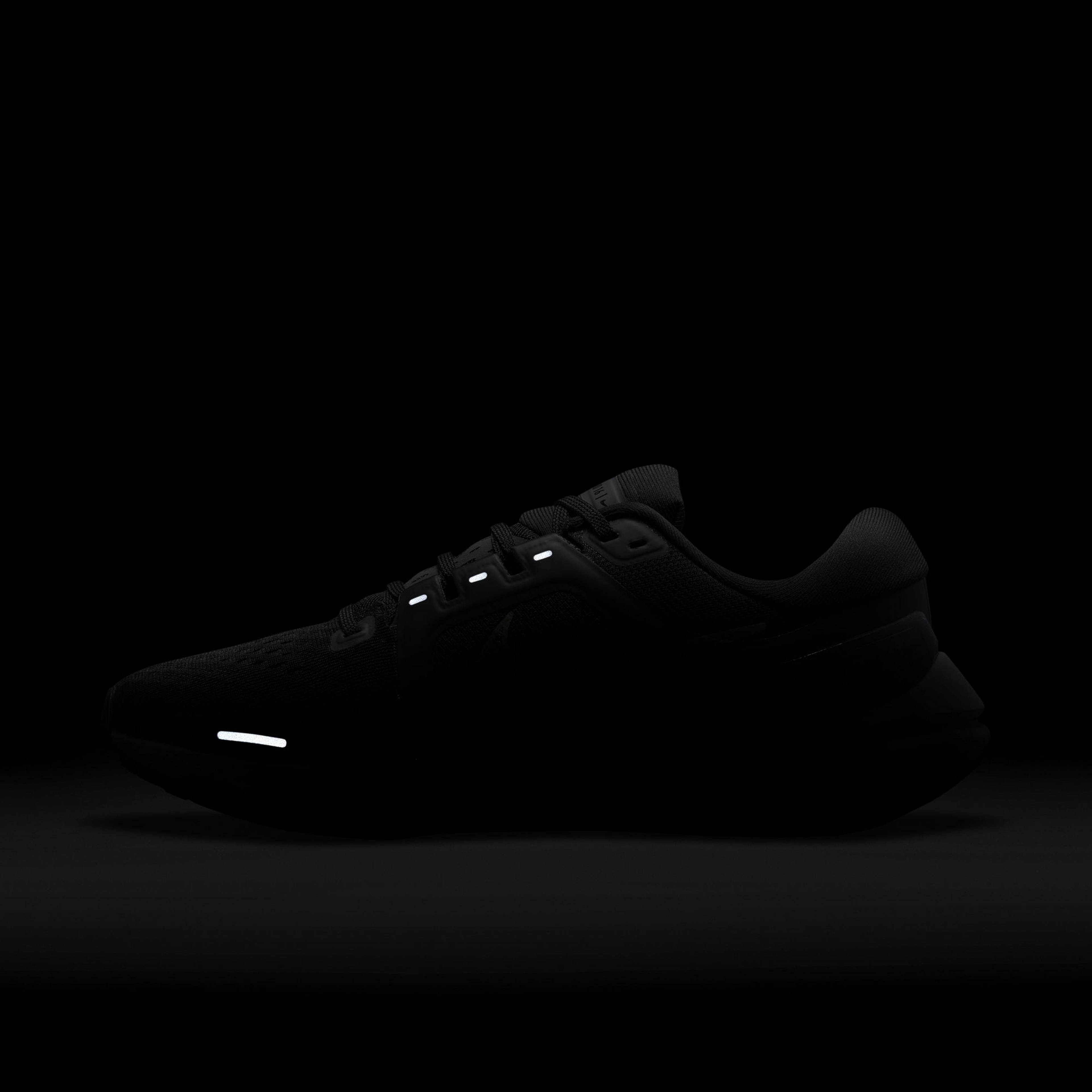 Nike Air Zoom Vomero 16 Road Running Kadın Spor Ayakkabı