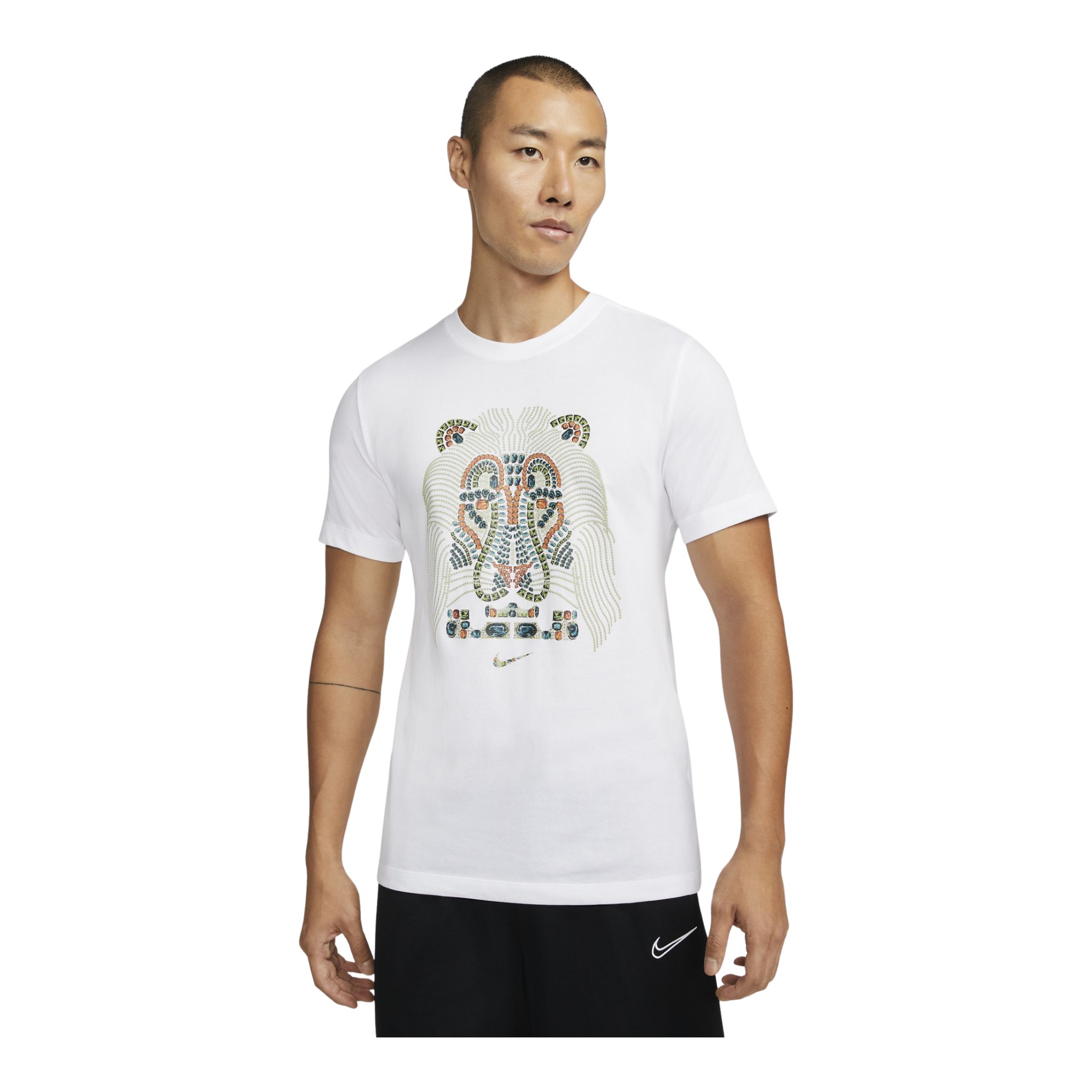 Nike Dri-Fit LeBron ''Strive For Greatness'' Short-Sleeve Erkek Tişört