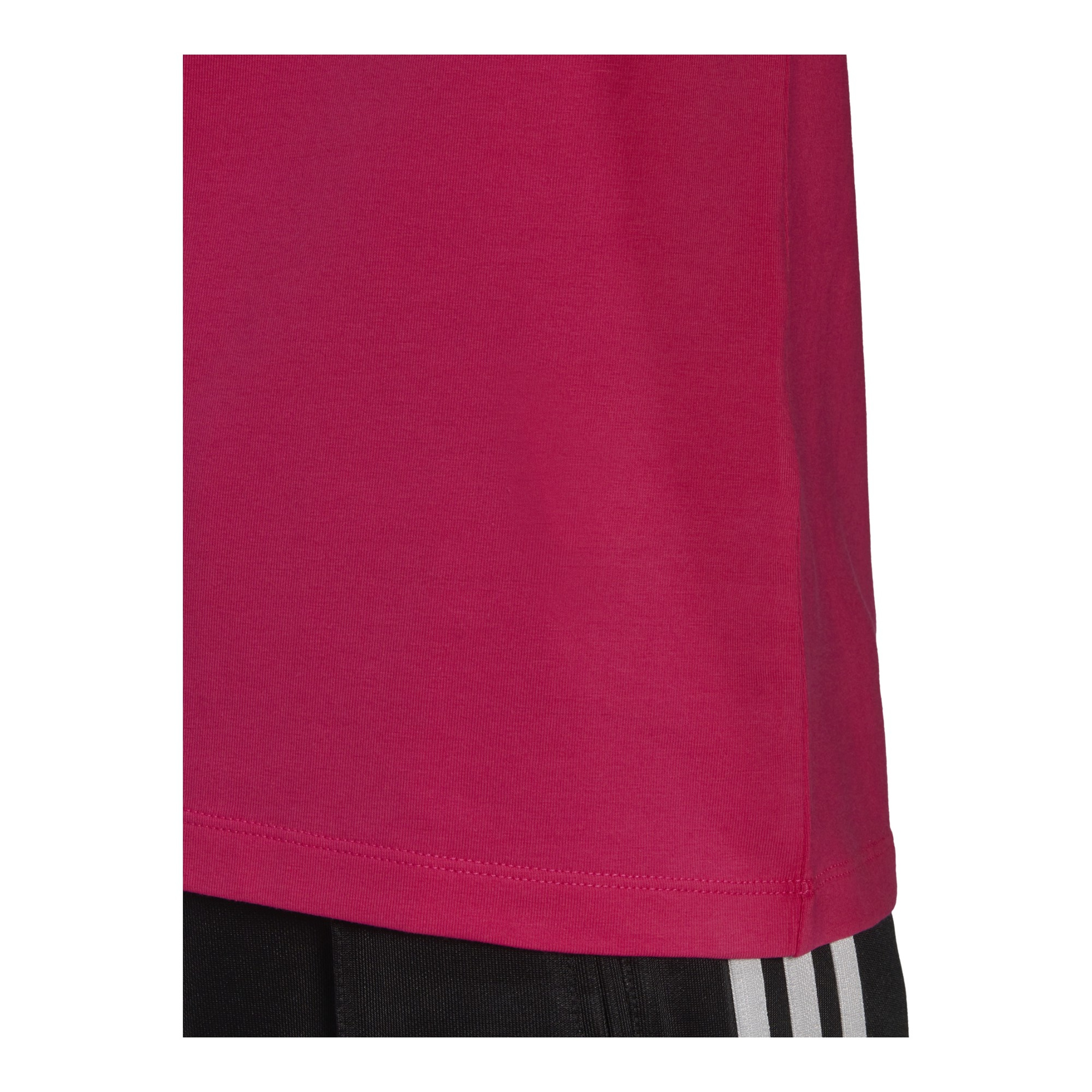 adidas Adicolor Classics Trefoil Kadın Tişört