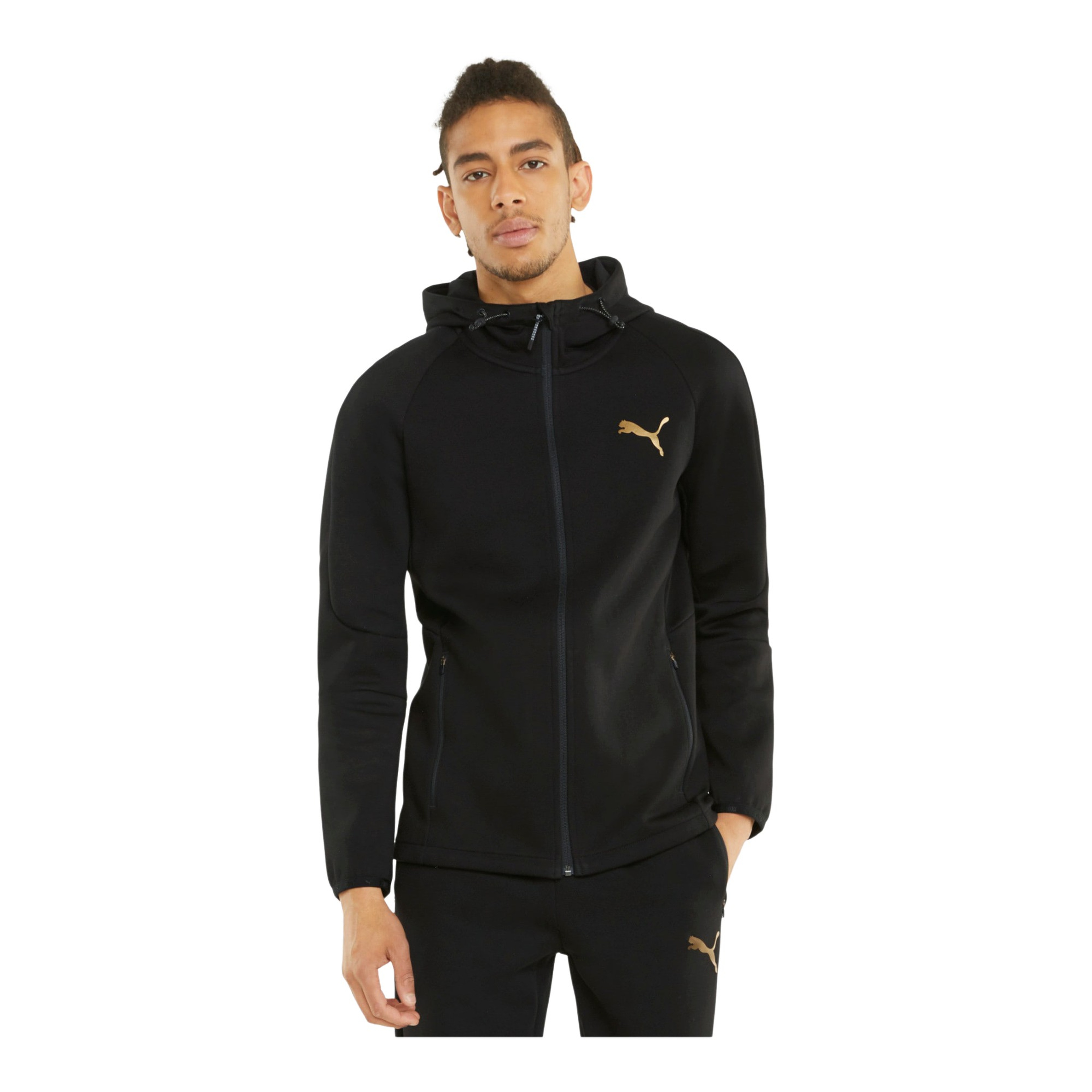 Puma Evostripe Full Zip Hoodie Erkek Sweatshirt