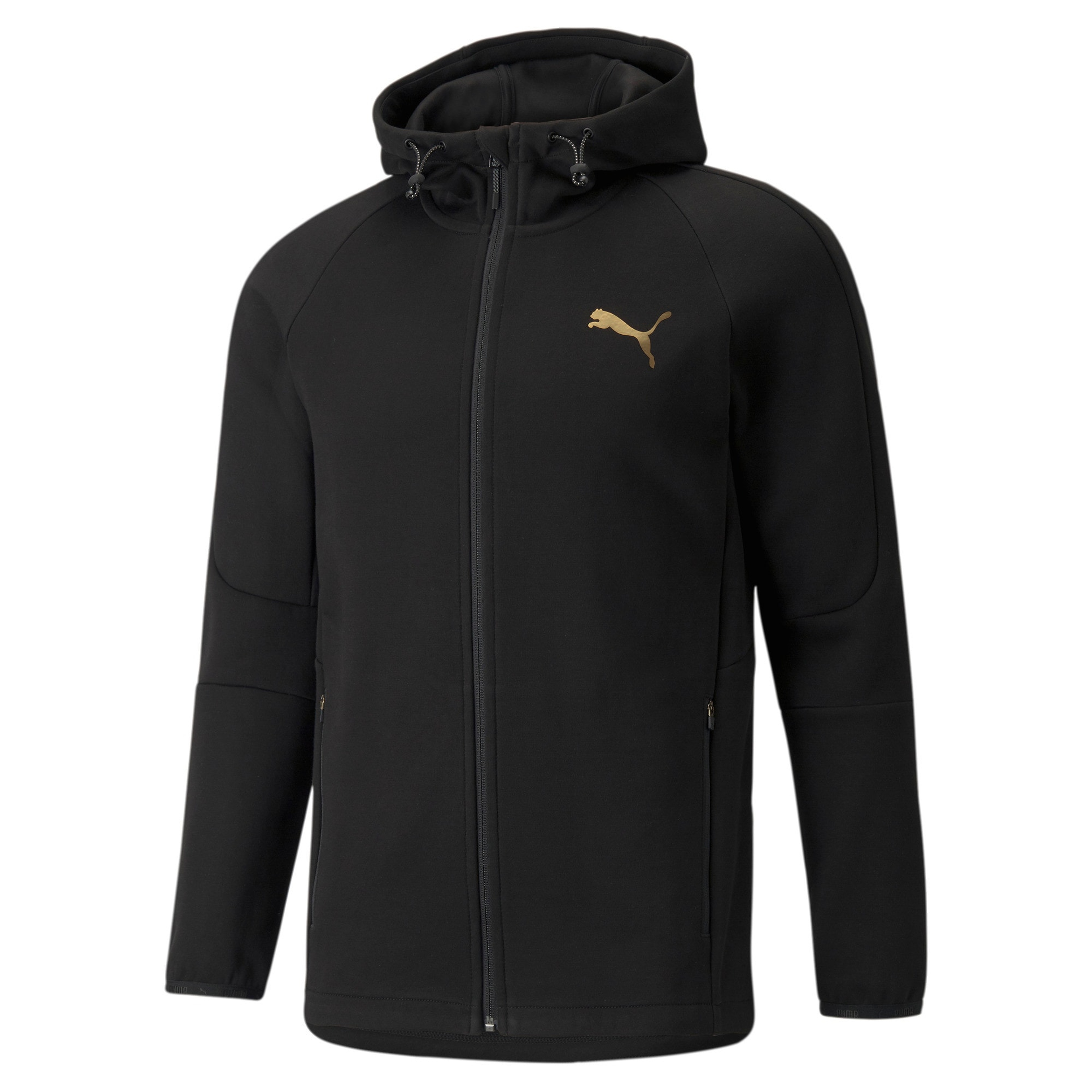 Puma Evostripe Full Zip Hoodie Erkek Sweatshirt
