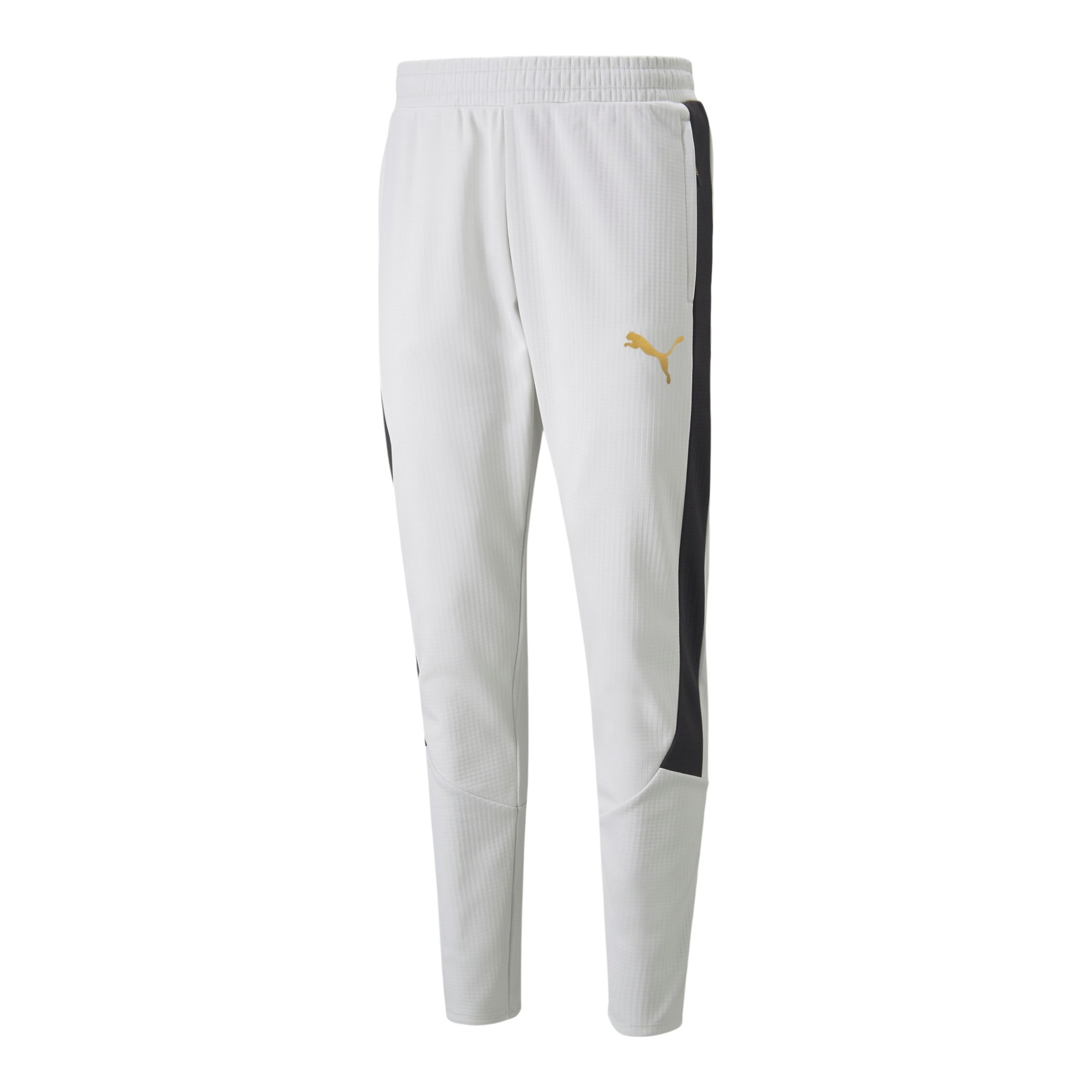 Puma Sportswear Evostripe Warm Erkek Eşofman Altı