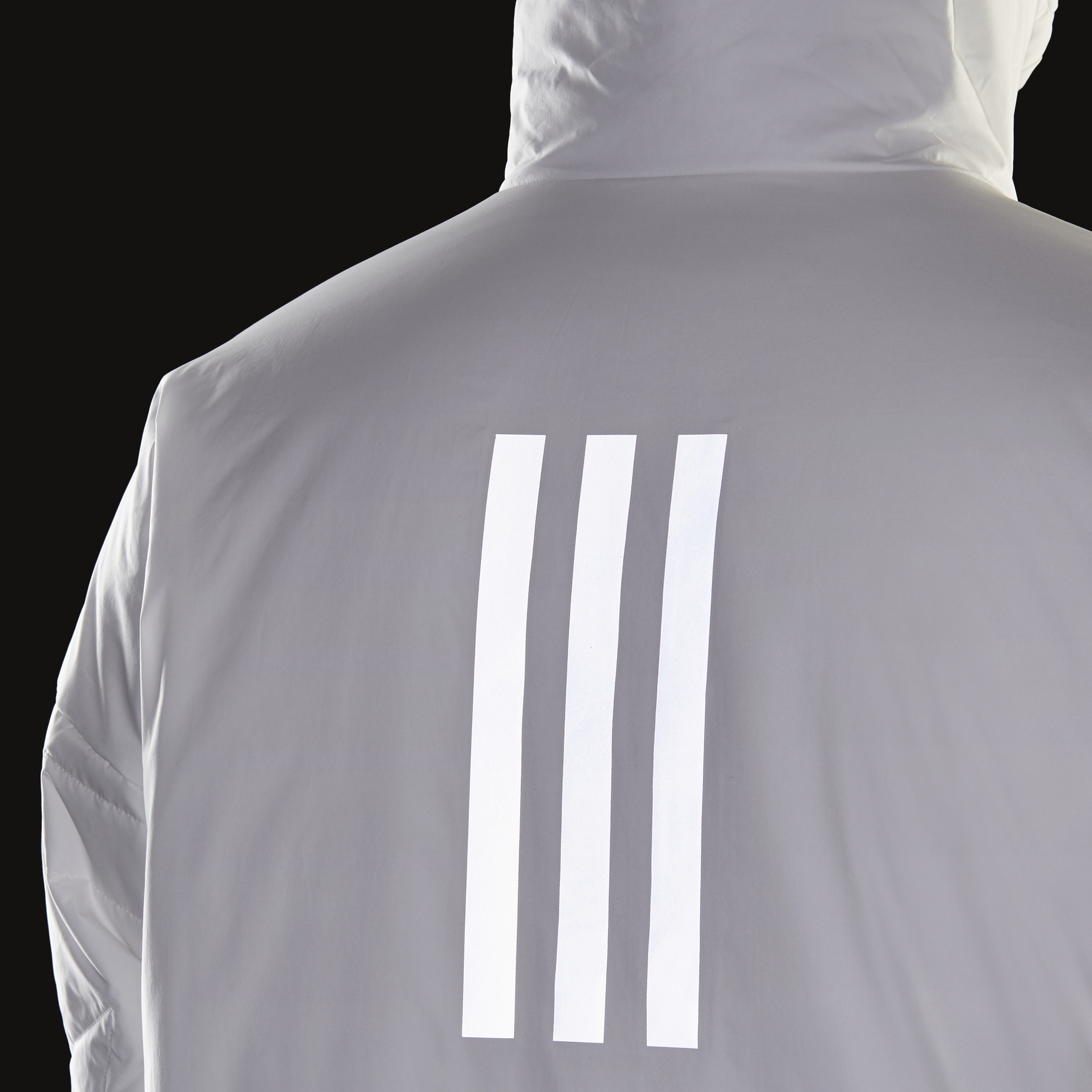 adidas Terrex MYSHELTER PrimaLoft Padded Full-Zip Hoodie Erkek Mont