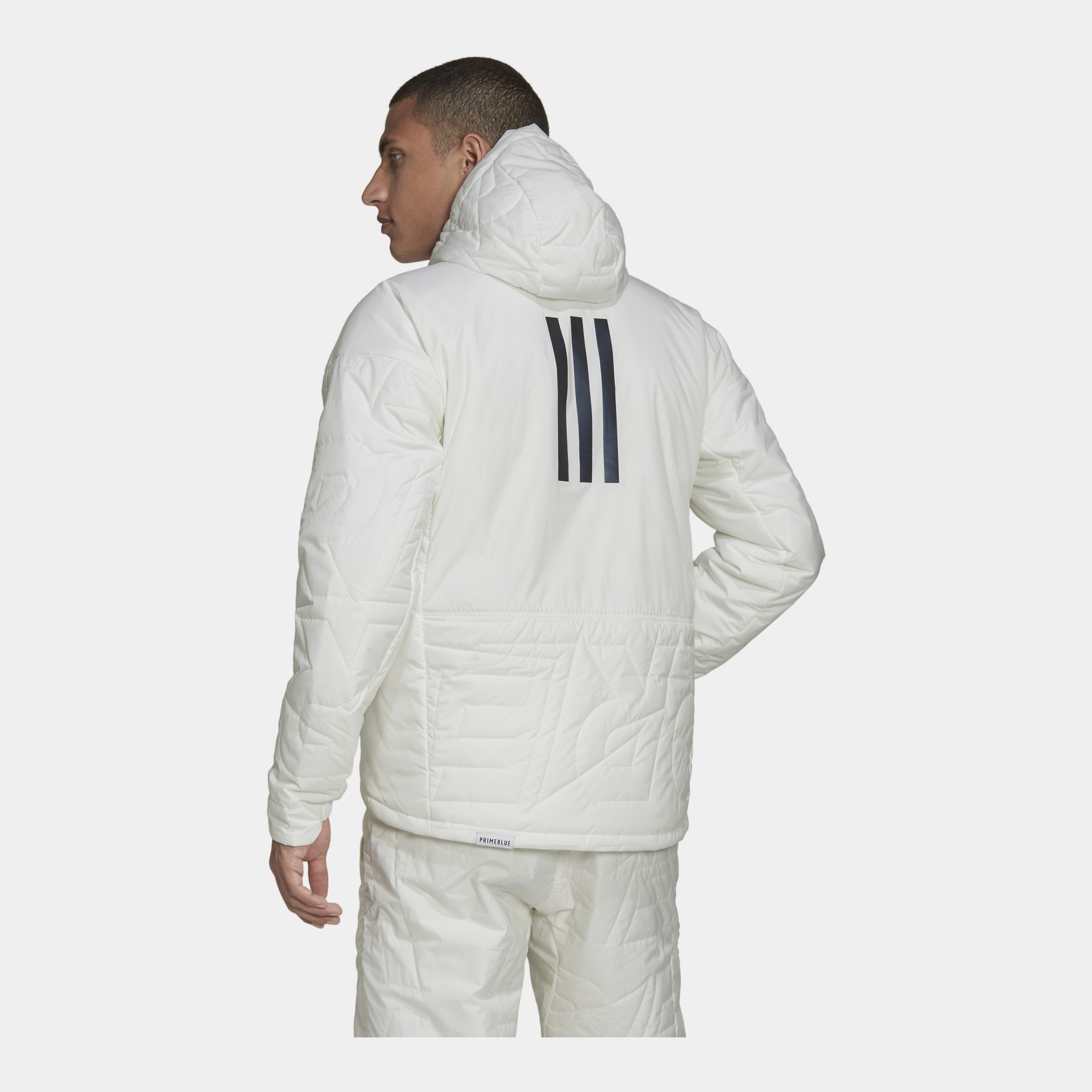 adidas Terrex MYSHELTER PrimaLoft Padded Full-Zip Hoodie Erkek Mont
