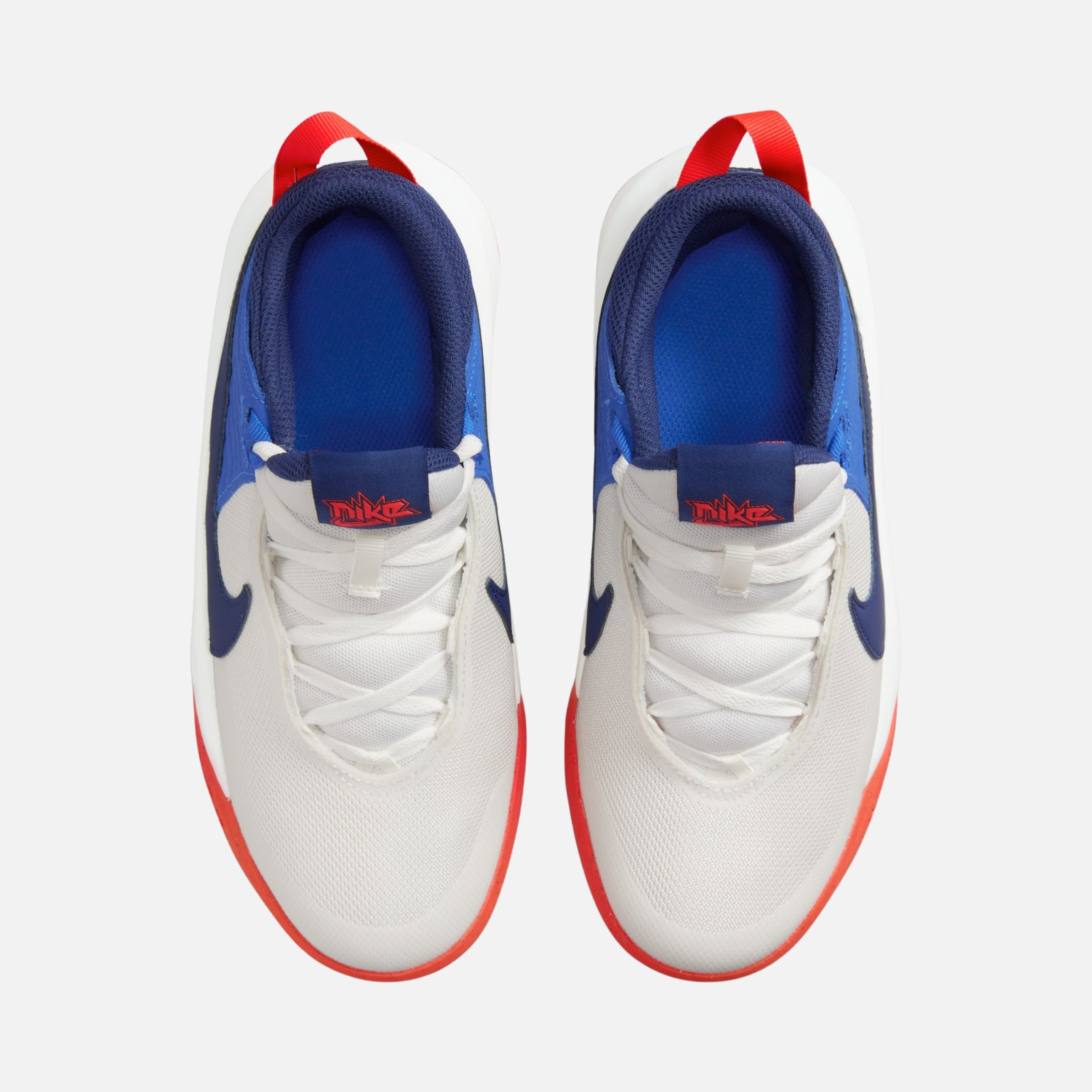 Nike Team Hustle D 10 (GS) Basketbol Ayakkabısı