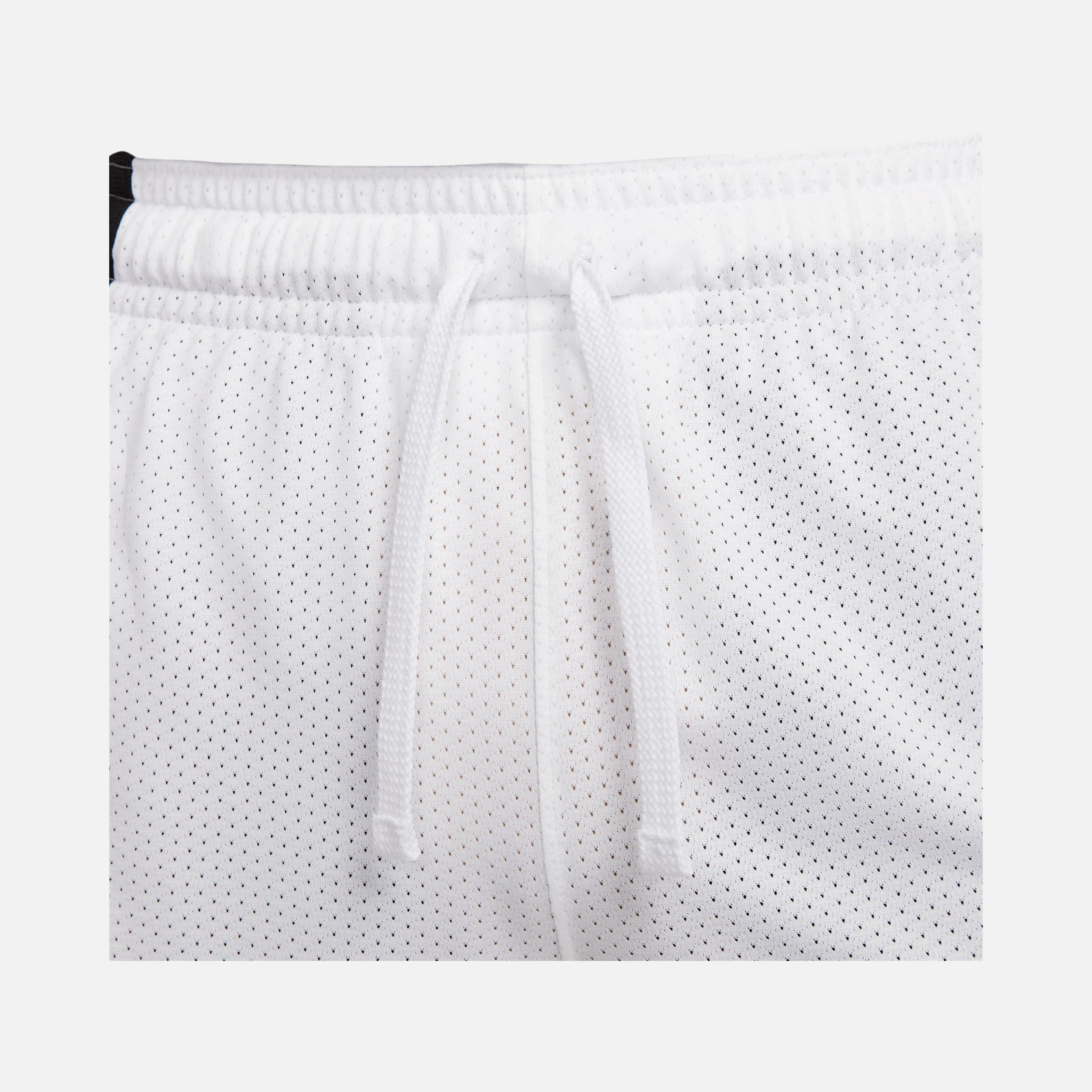 Nike Jordan Sport Dri-Fit Mesh Erkek Şort