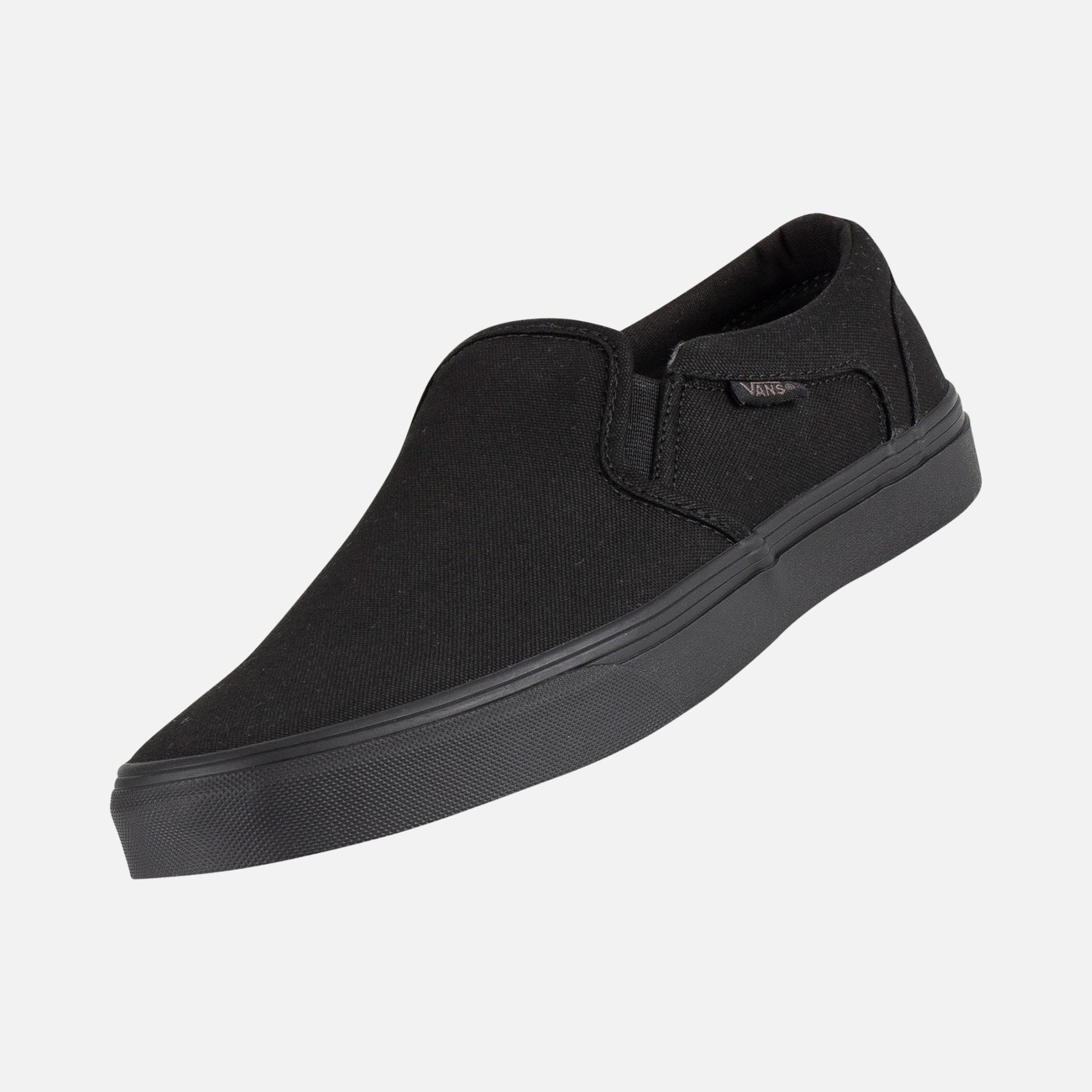 Vans Asher Erkek Spor Ayakkabı