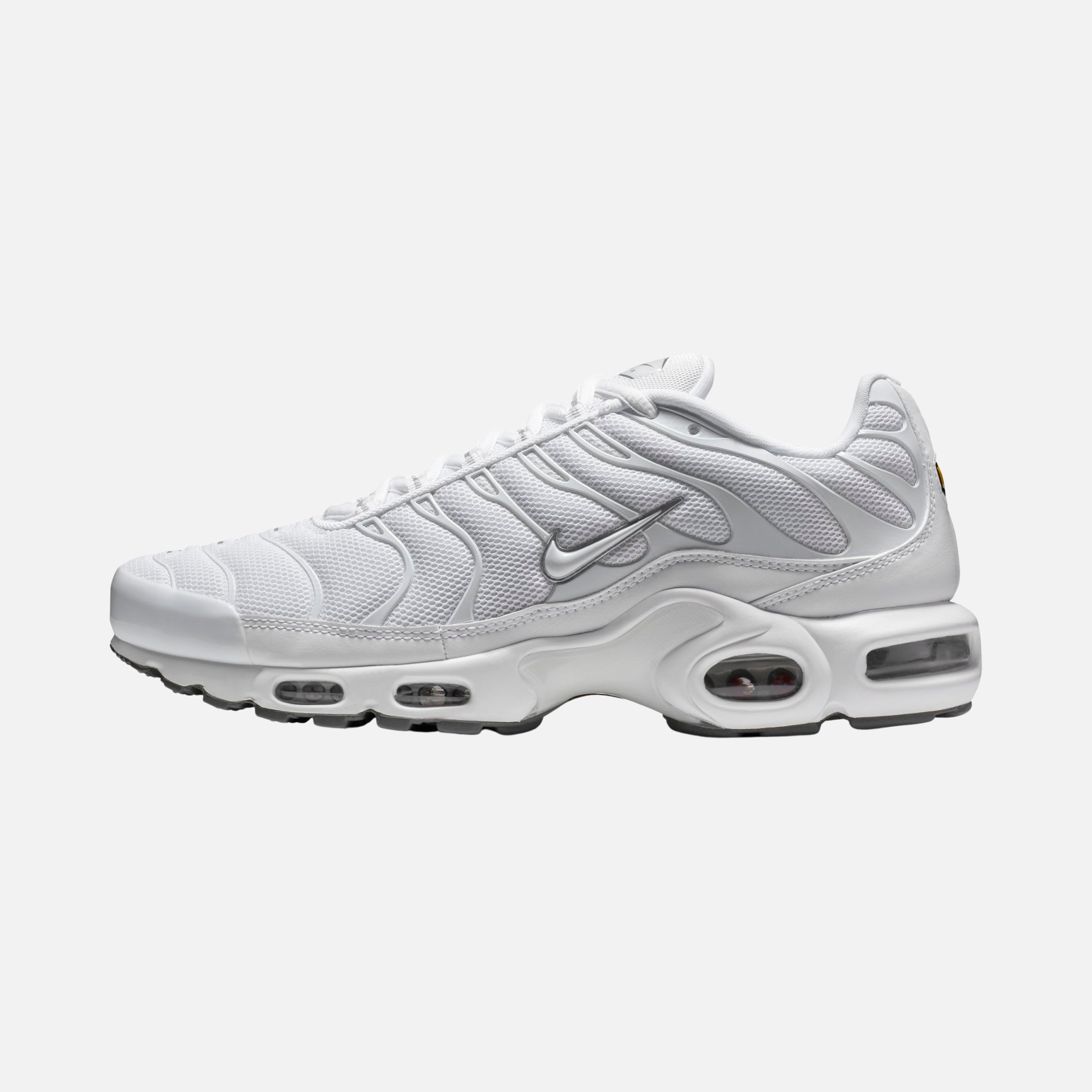Nike Air Max Plus CO Erkek Spor Ayakkabı