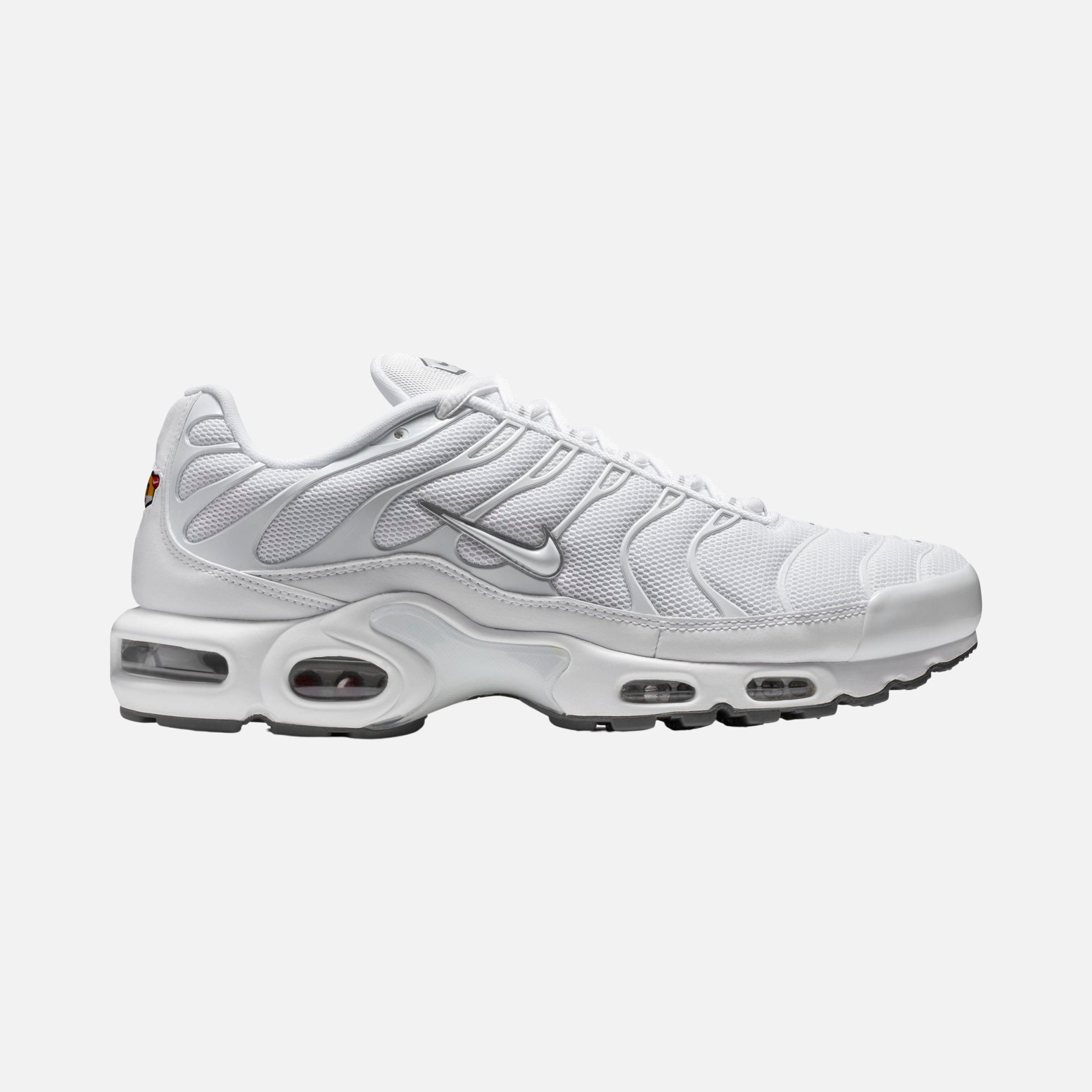 Nike Air Max Plus CO Erkek Spor Ayakkabı