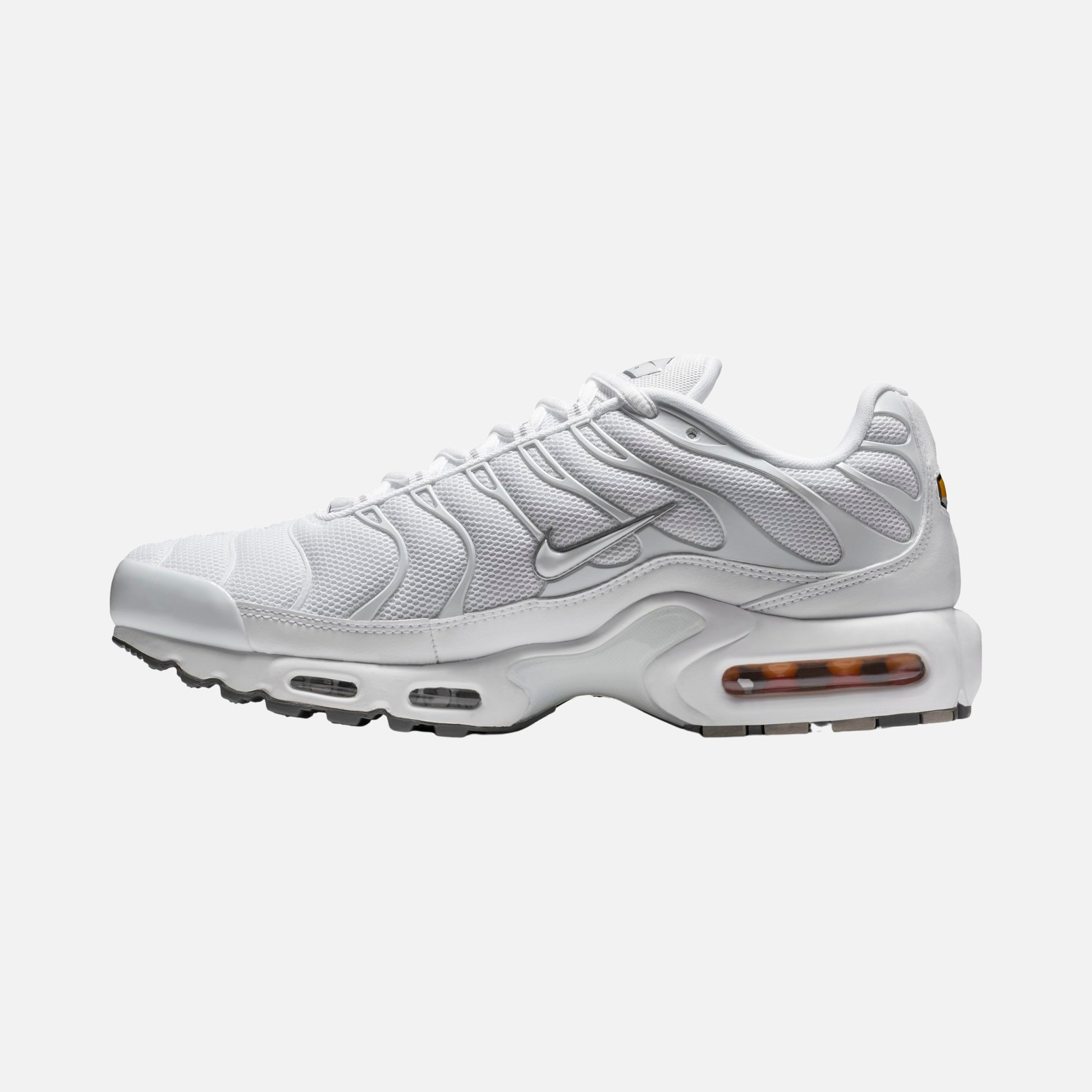 Nike Air Max Plus CO Erkek Spor Ayakkabı