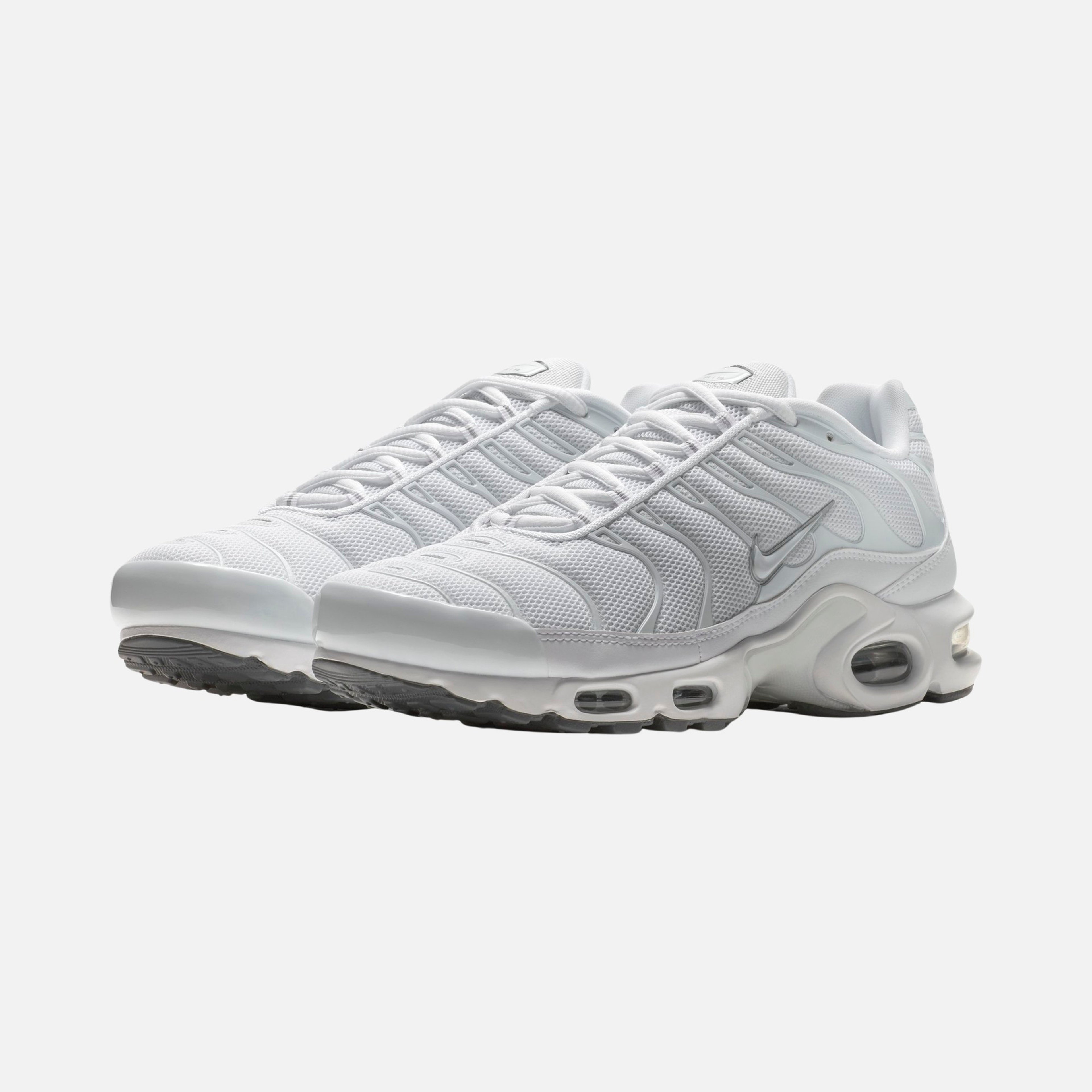 Nike Air Max Plus CO Erkek Spor Ayakkabı