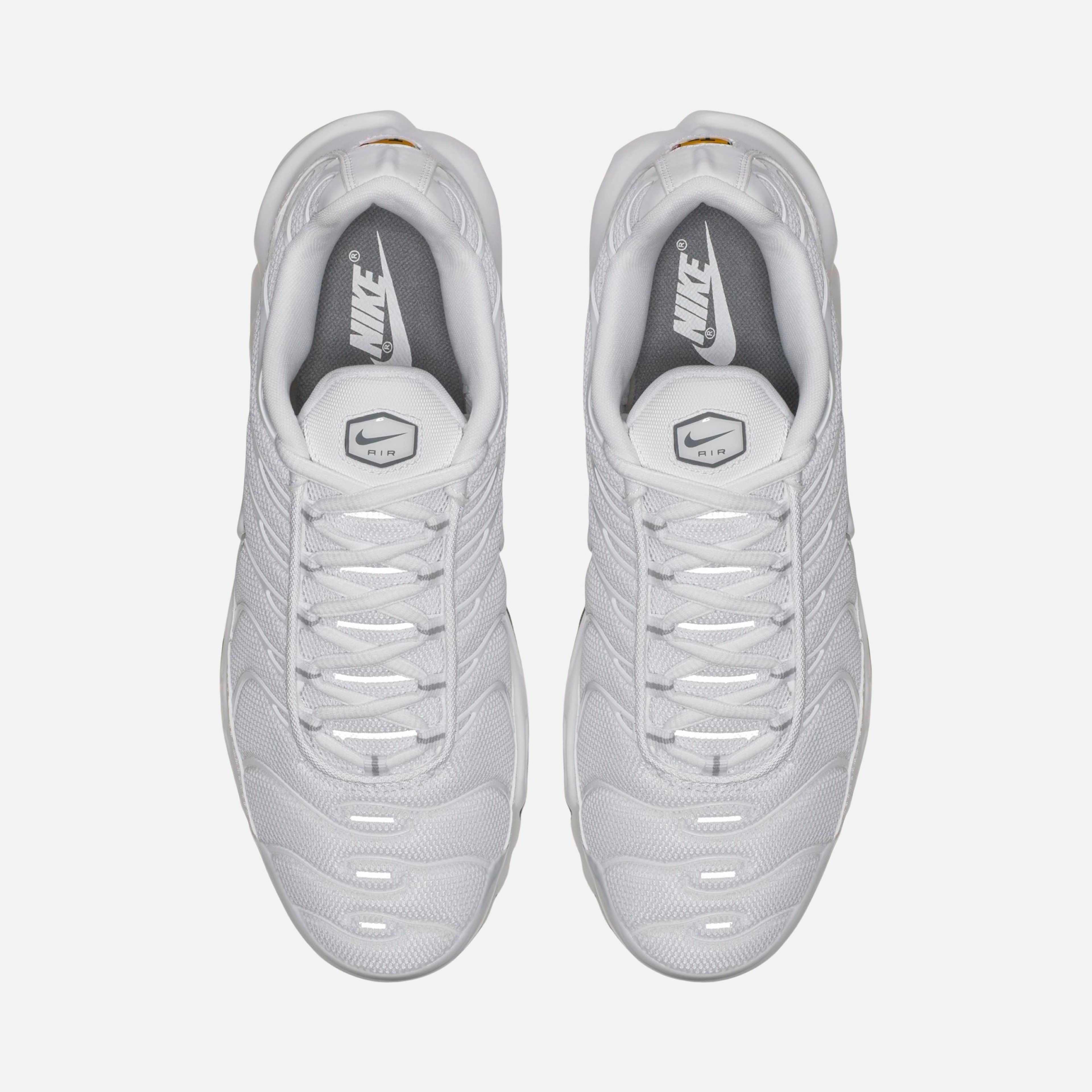 Nike Air Max Plus CO Erkek Spor Ayakkabı