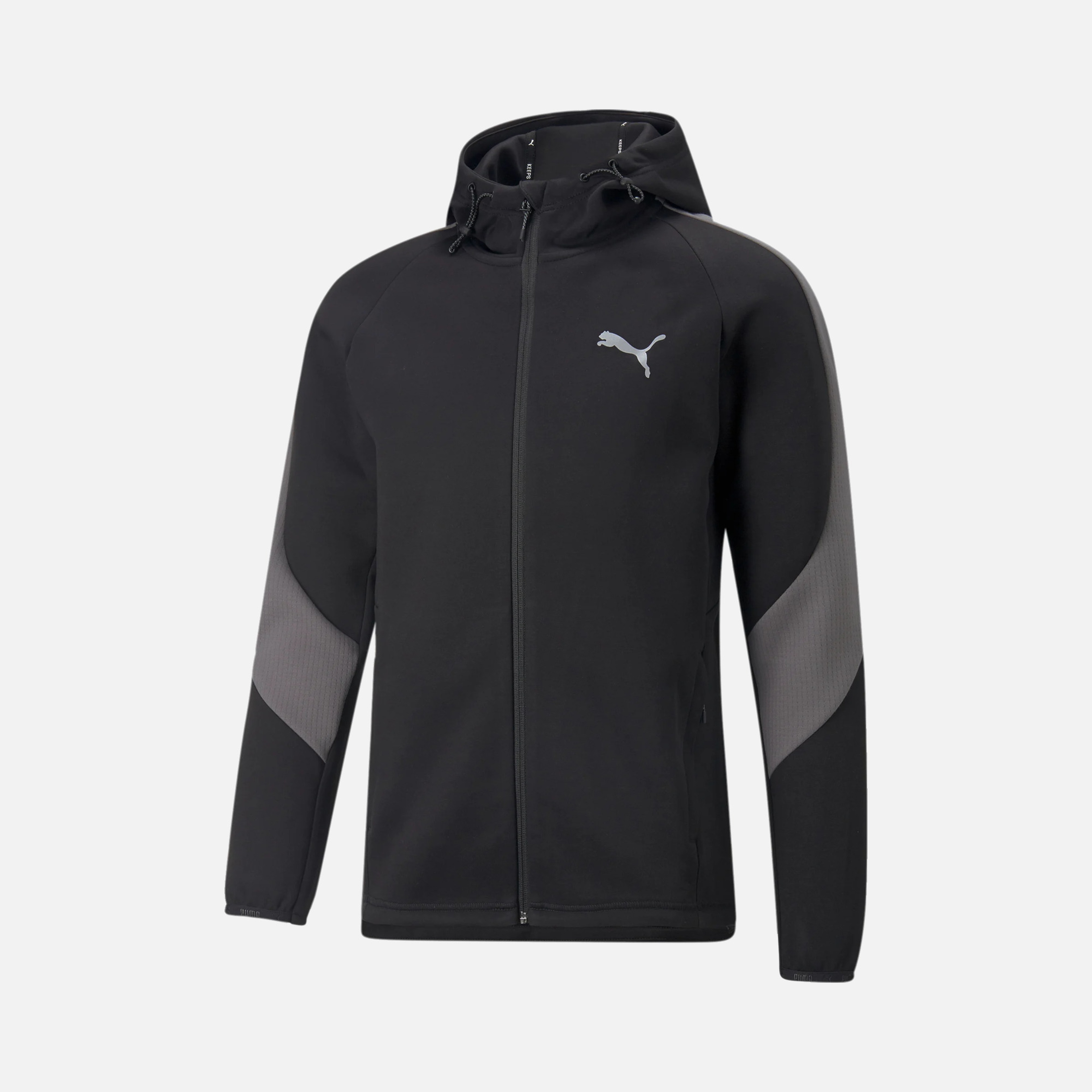 Puma Sportswear Evostripe Full-Zip Hoodie Erkek Sweatshirt