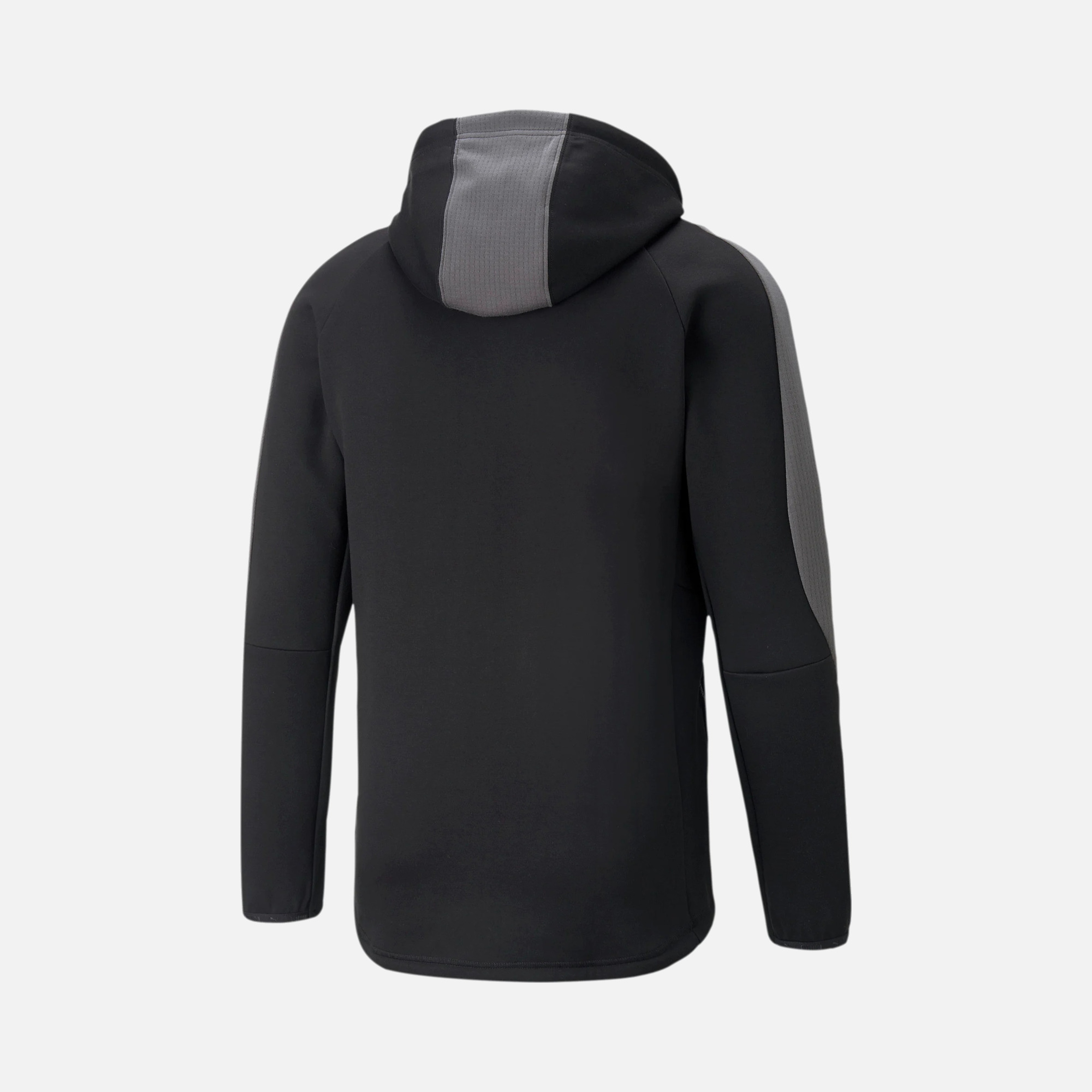 Puma Sportswear Evostripe Full-Zip Hoodie Erkek Sweatshirt