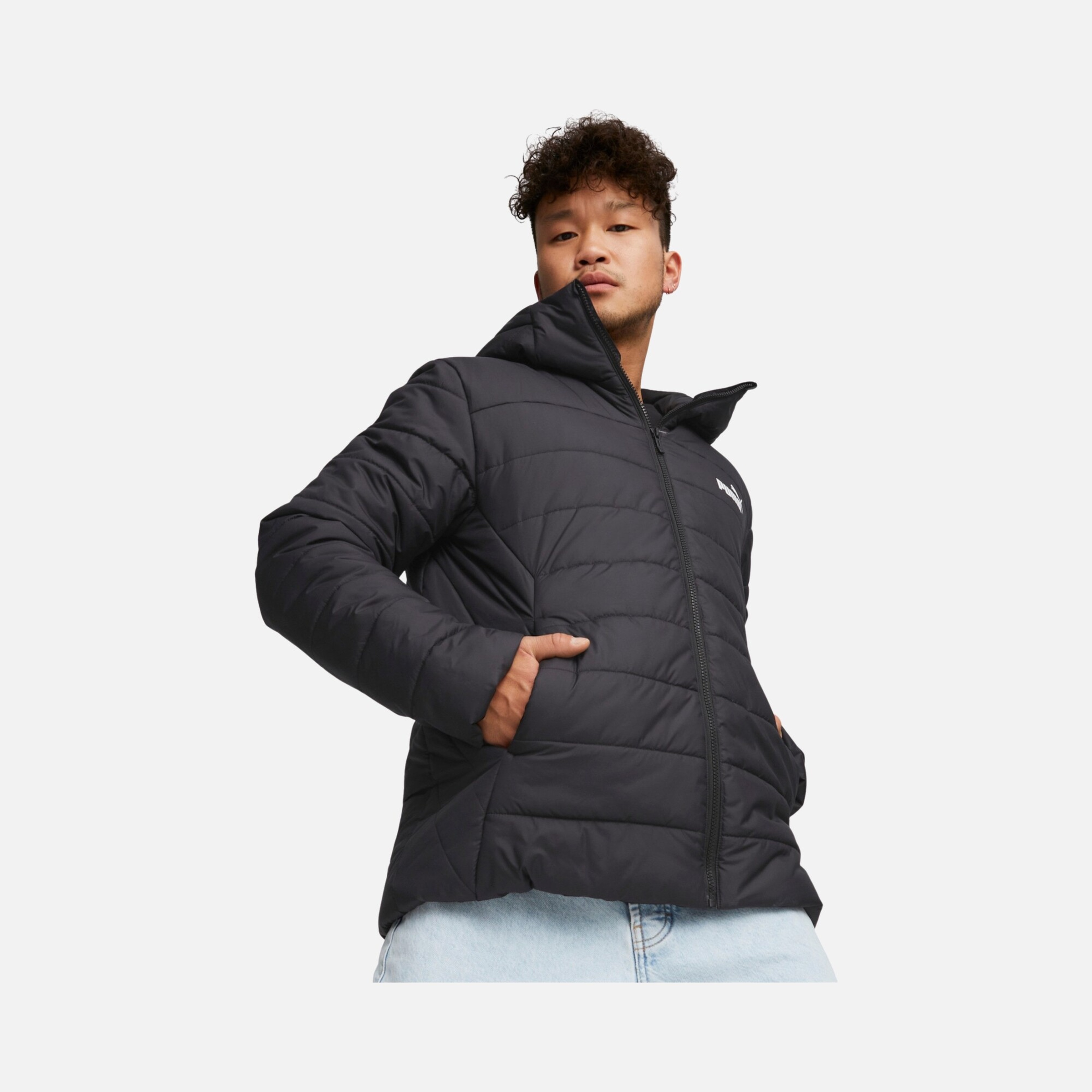 Puma Sportswear Essentials Full-Zip Hoodie Erkek Mont