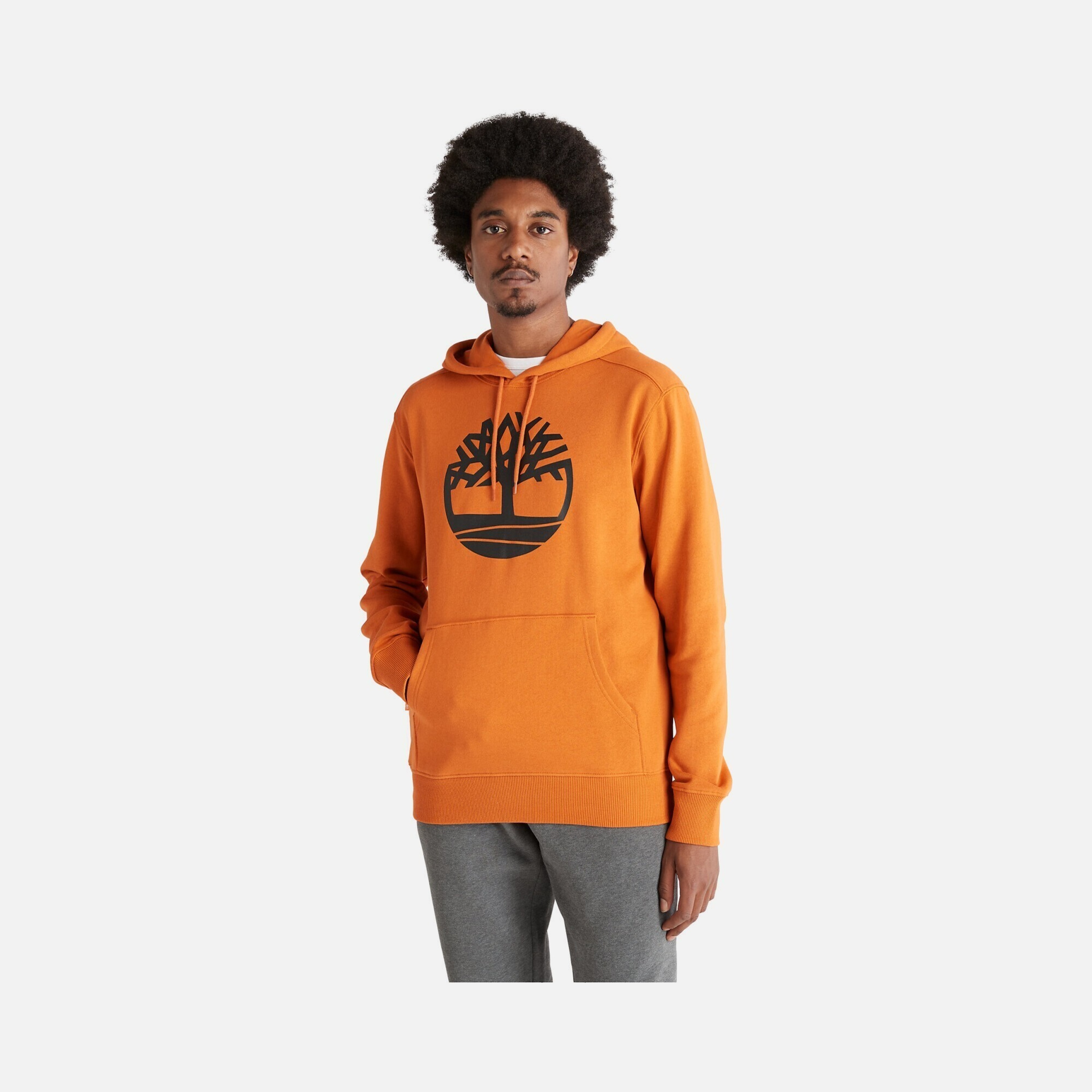 Timberland Core Tree Logo Graphic Pullover Hoodie Erkek Sweatshirt