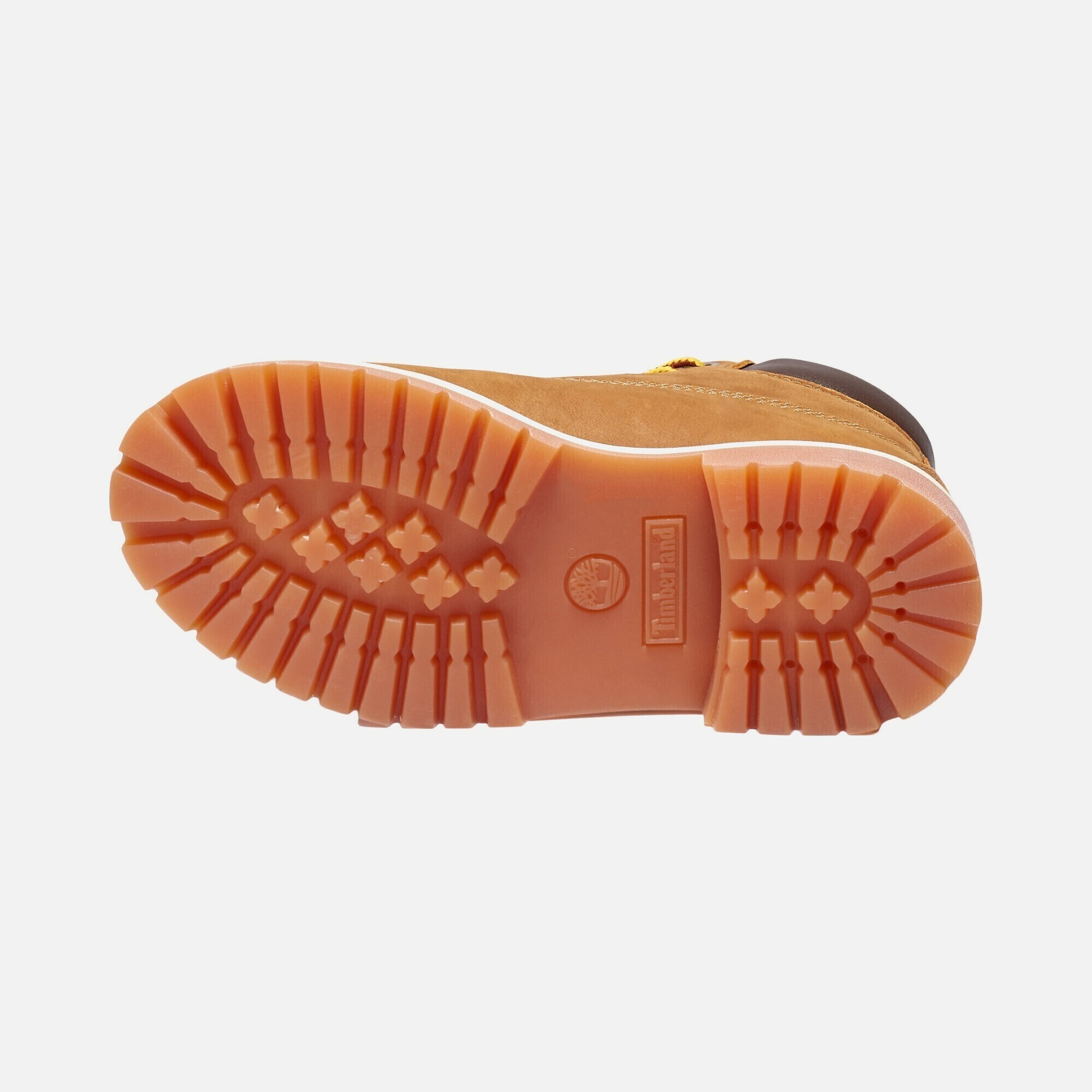 Timberland 6-Inch Premium Waterproof (GS) Bot