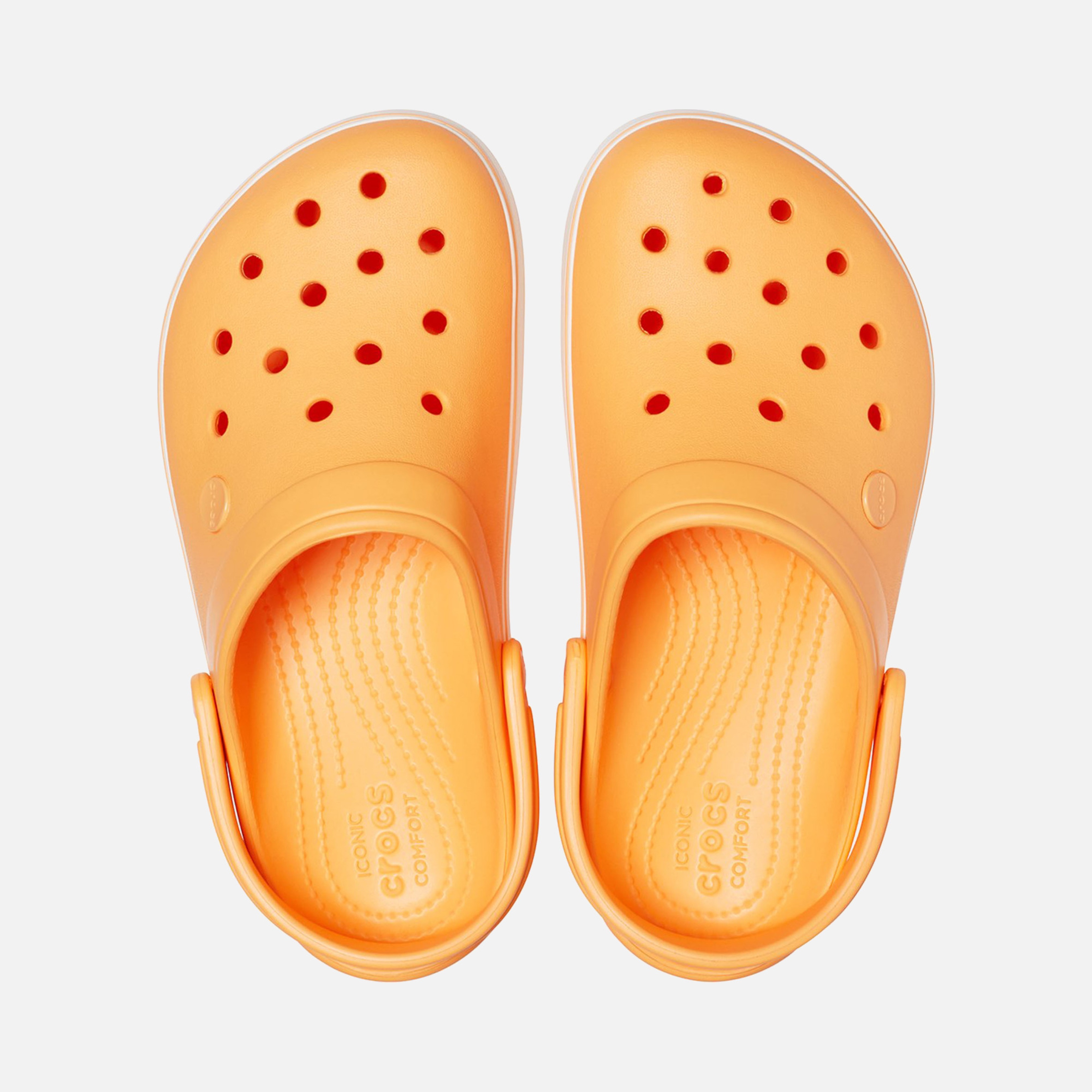 Crocs Crocband Platform Clog Kadın Terlik