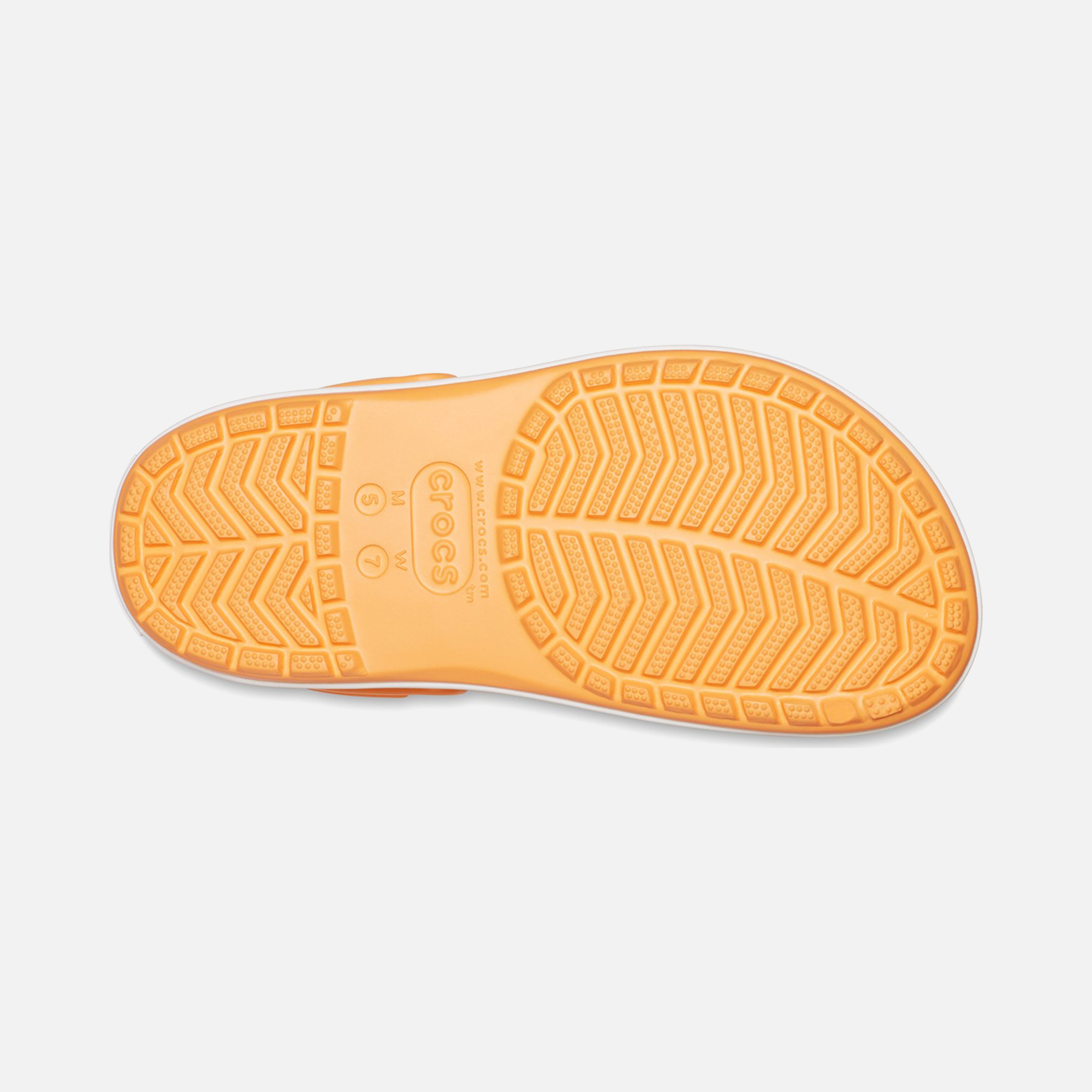 Crocs Crocband Platform Clog Kadın Terlik