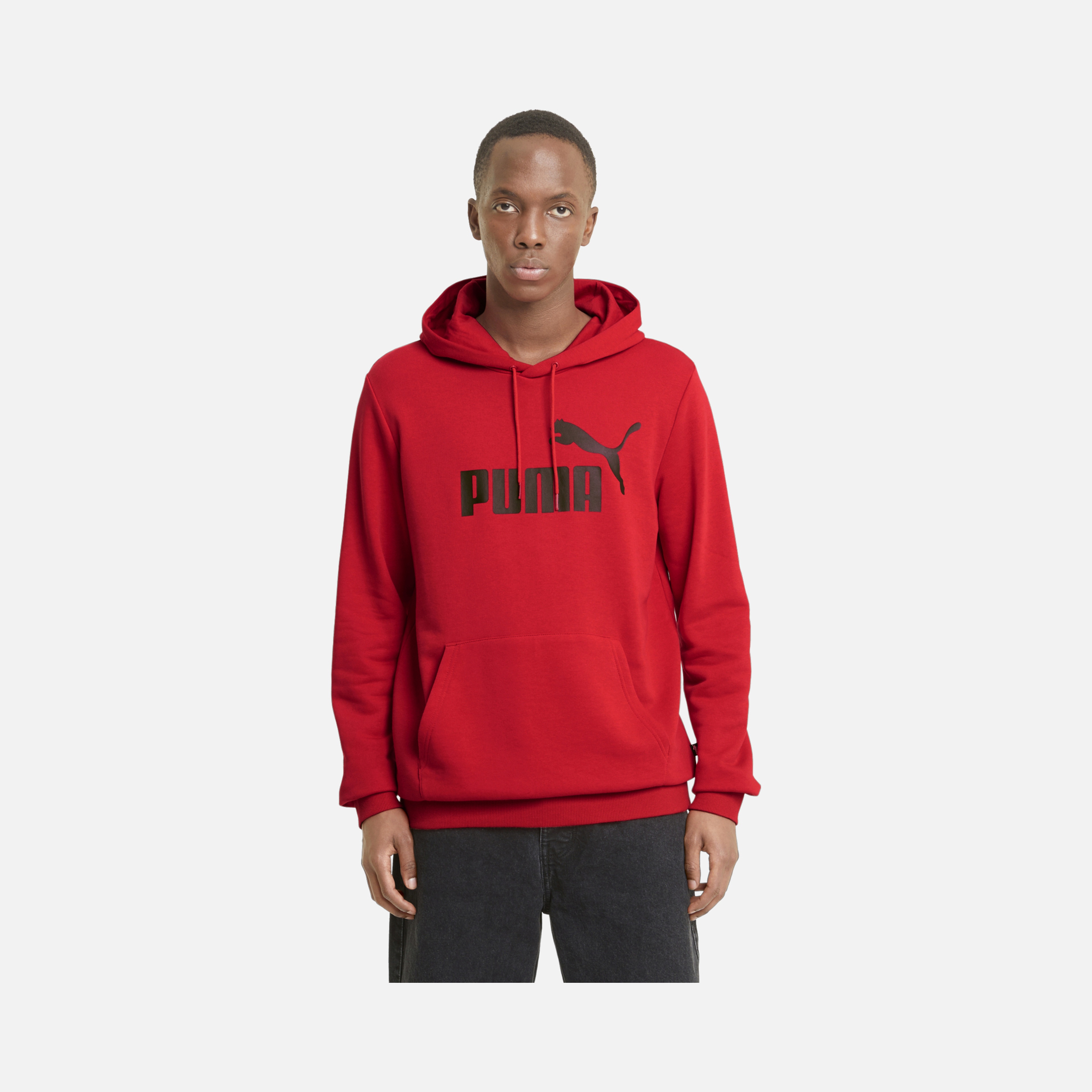 Puma Essentials Big Logo Hoodie Erkek Sweatshirt