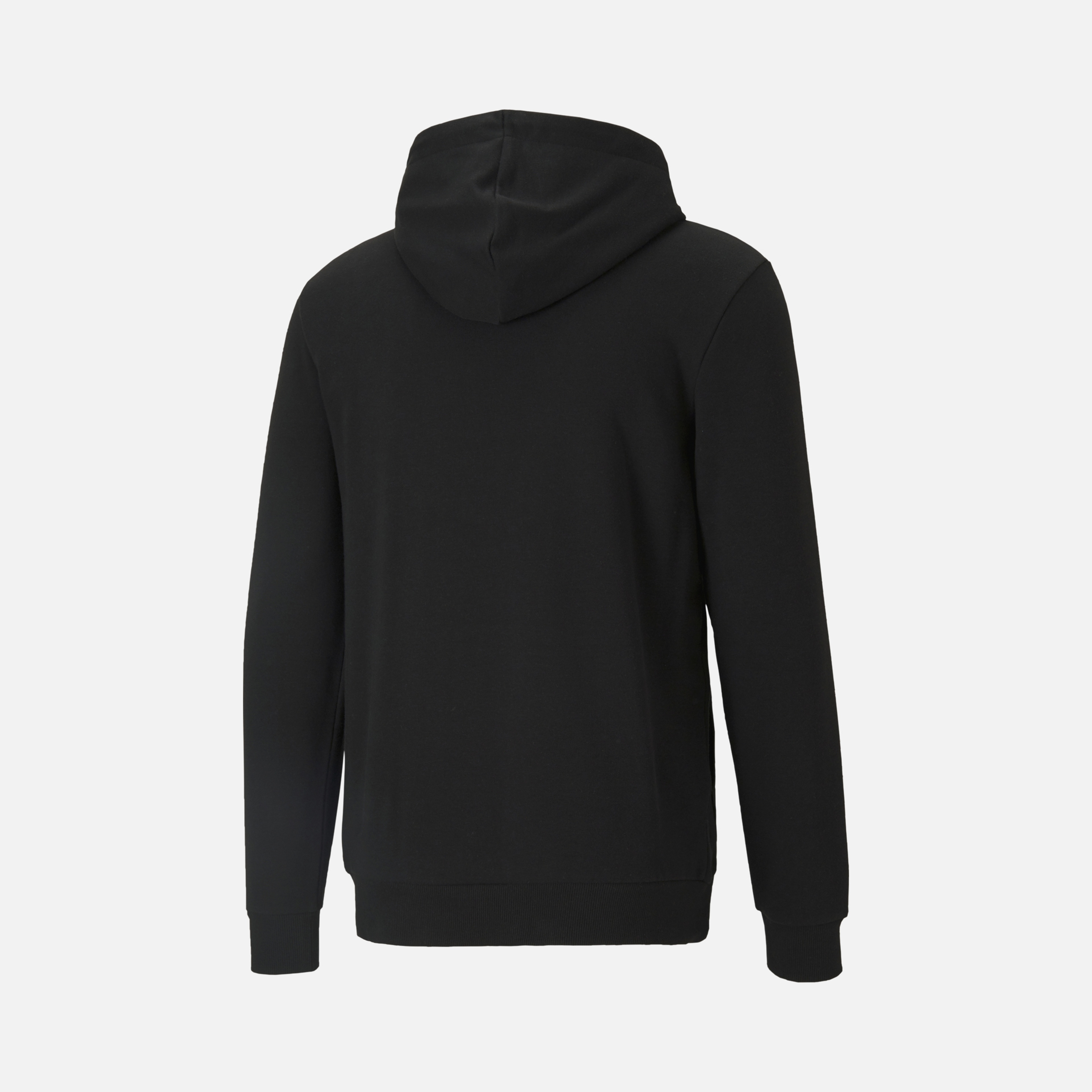 Puma Essentials Big Logo Hoodie Erkek Sweatshirt