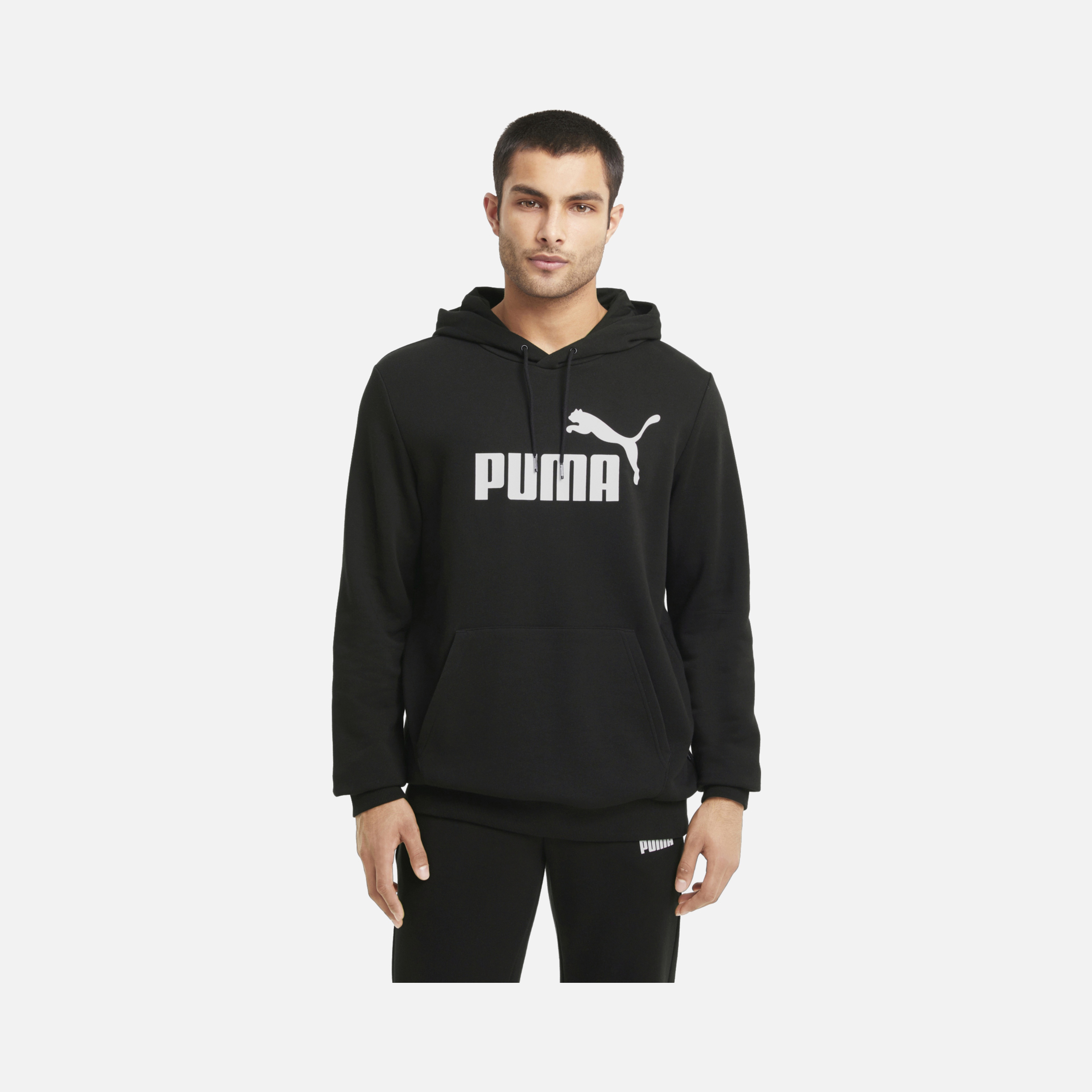 Puma Essentials Big Logo Hoodie Erkek Sweatshirt