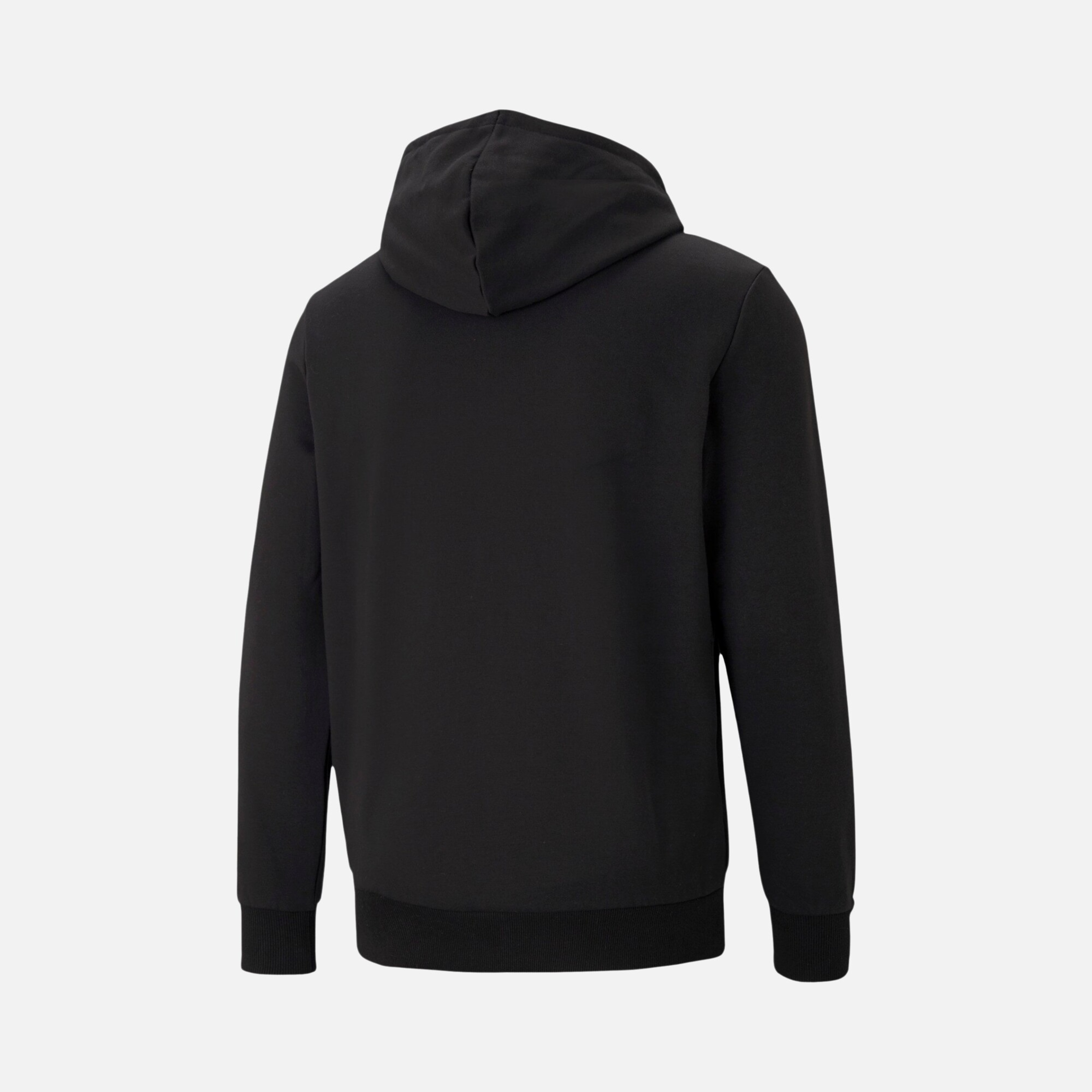 Puma Sportswear Classics Graphic Logo Hoodie Erkek Sweatshirt