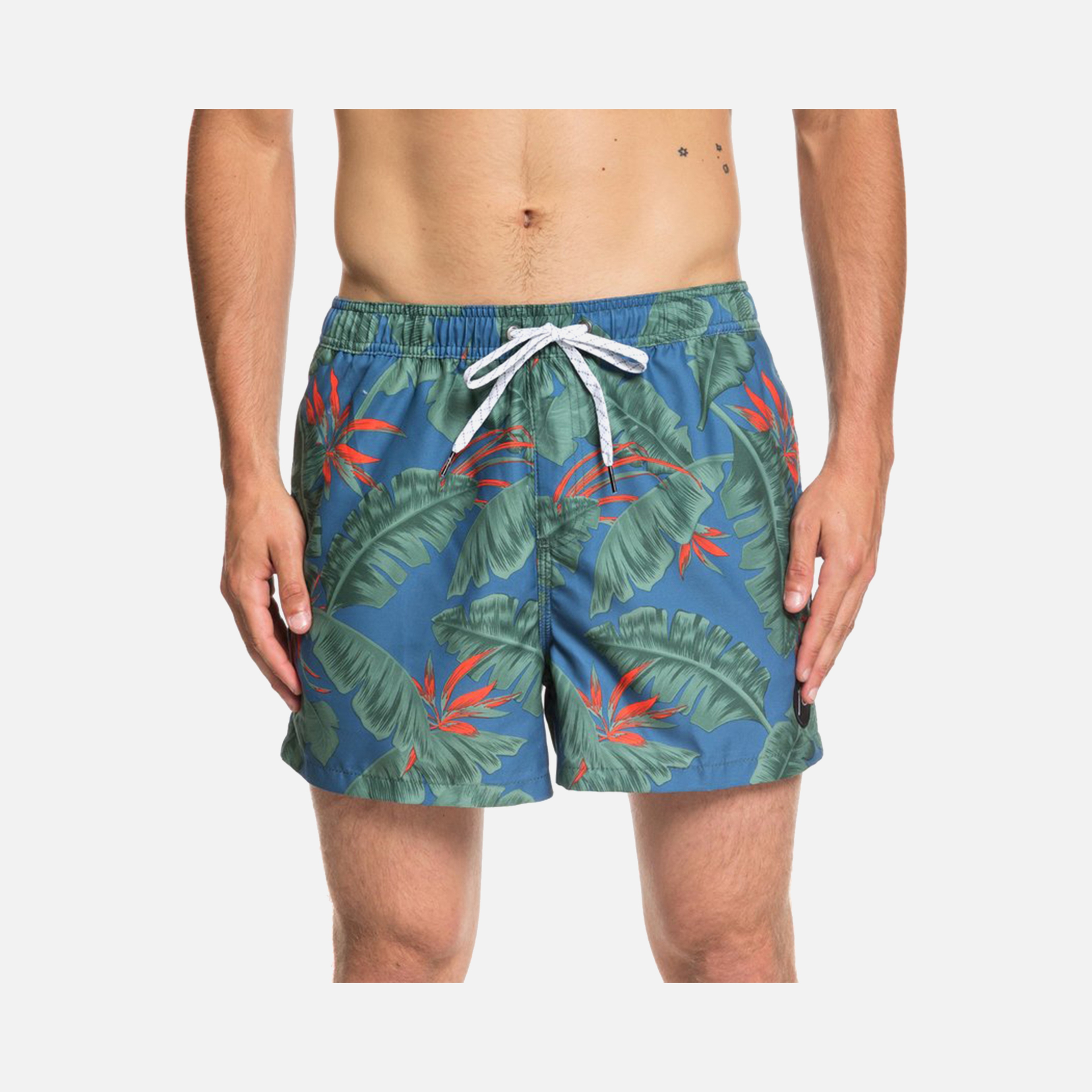 Quiksilver Poolsider 15" Erkek Şort Mayo