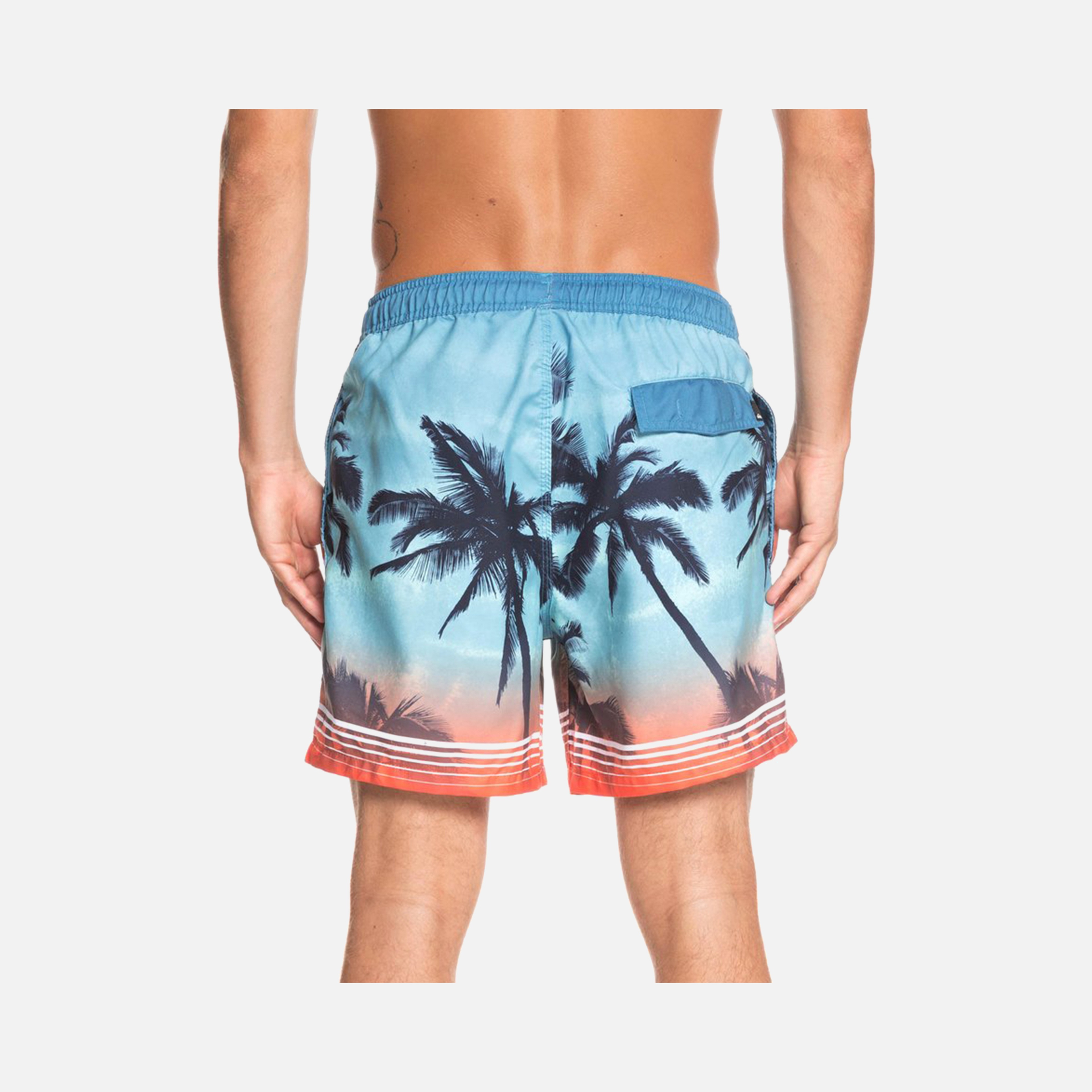 Quiksilver Paradisevl 17'' Erkek Şort Mayo