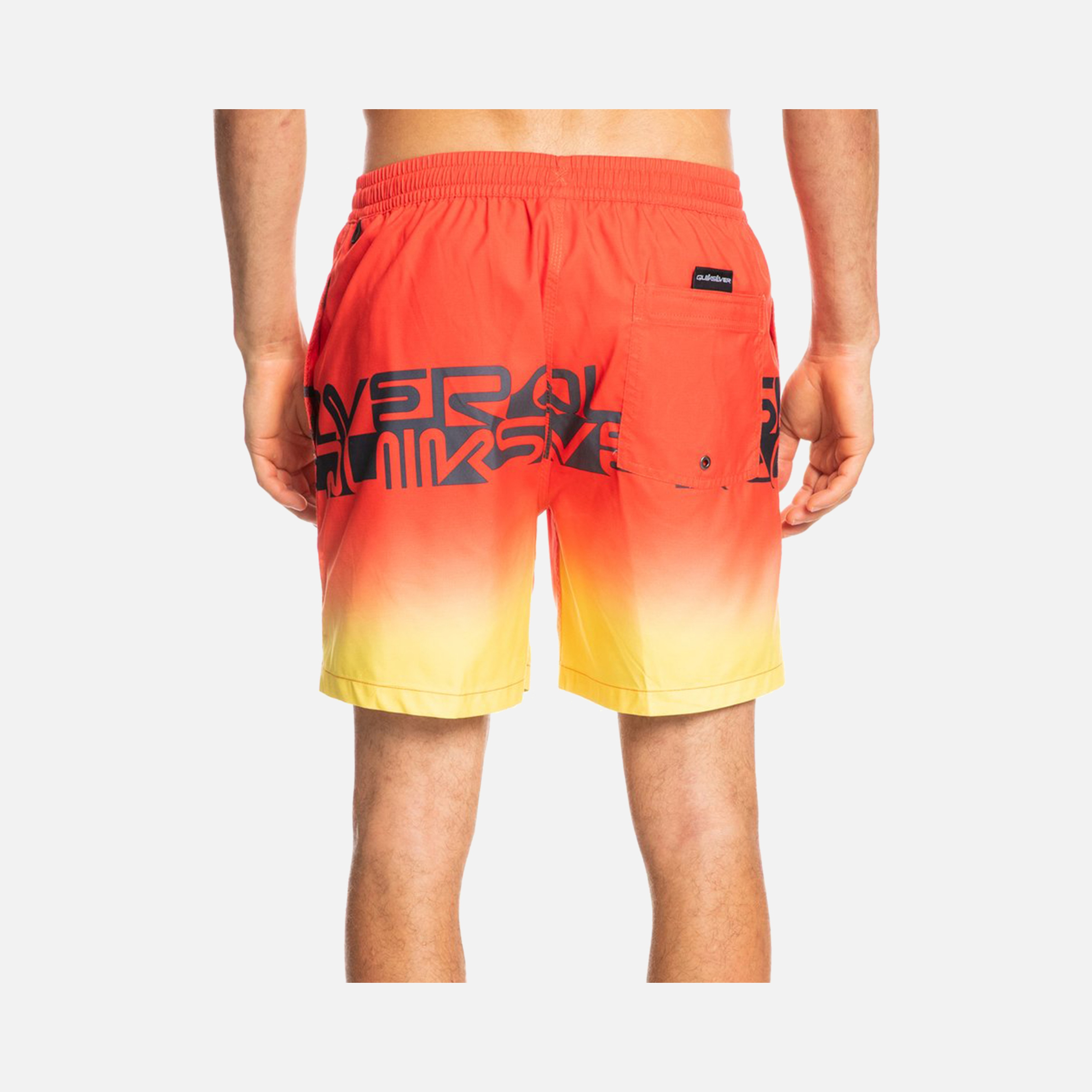 Quiksilver Wordblock 17'' Erkek Şort Mayo