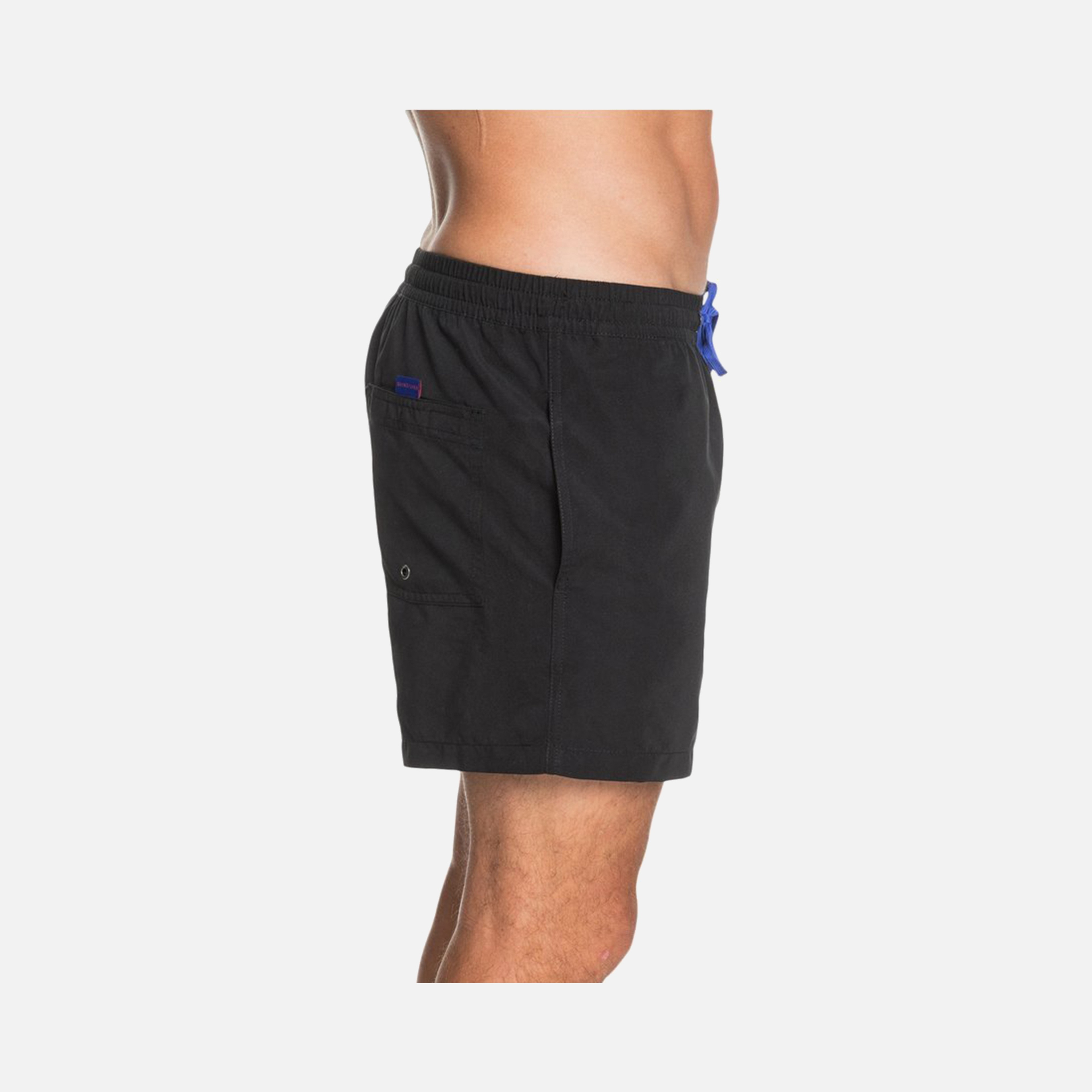 Quiksilver Everyday 15'' Erkek Şort Mayo