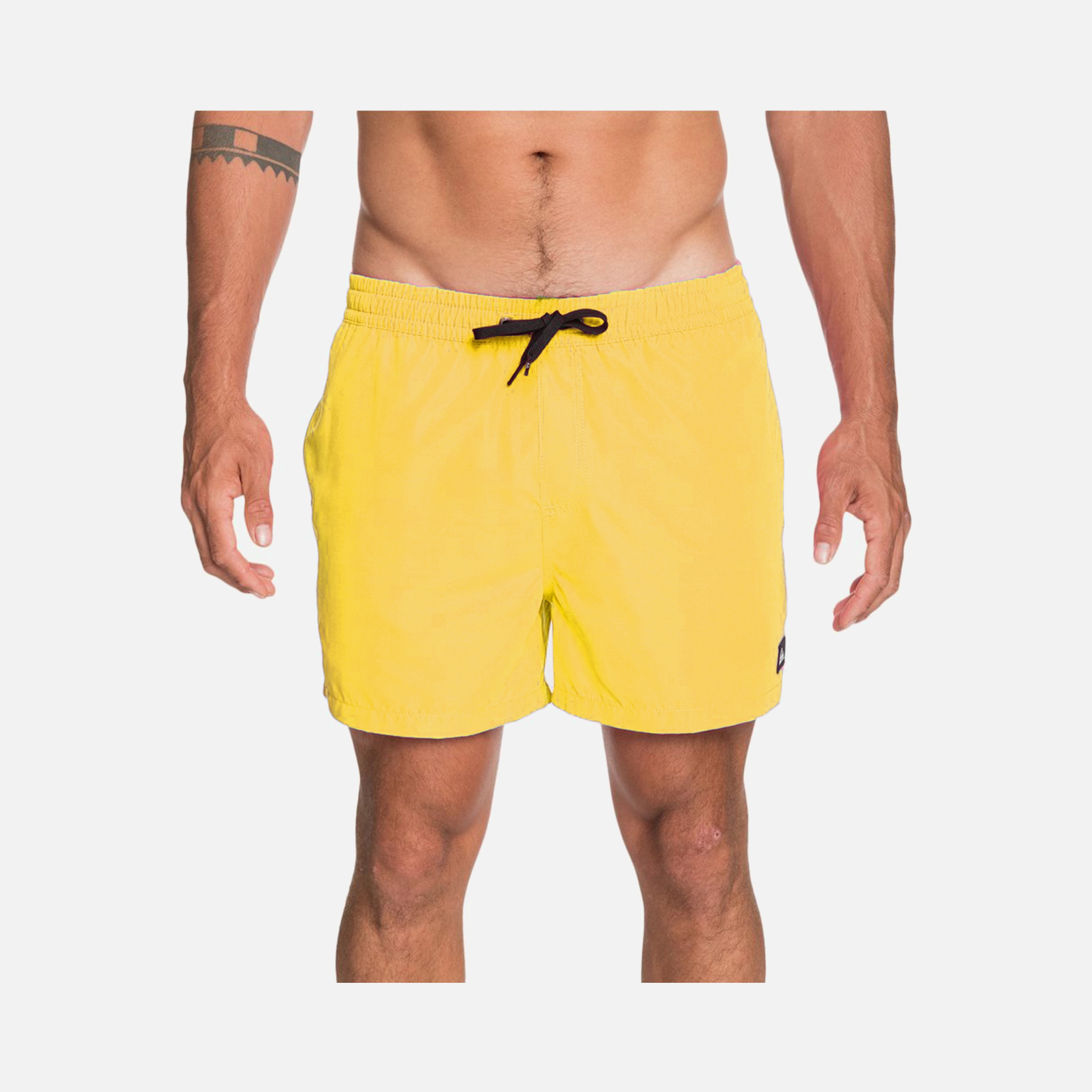 Quiksilver Everyday 15'' Erkek Şort Mayo