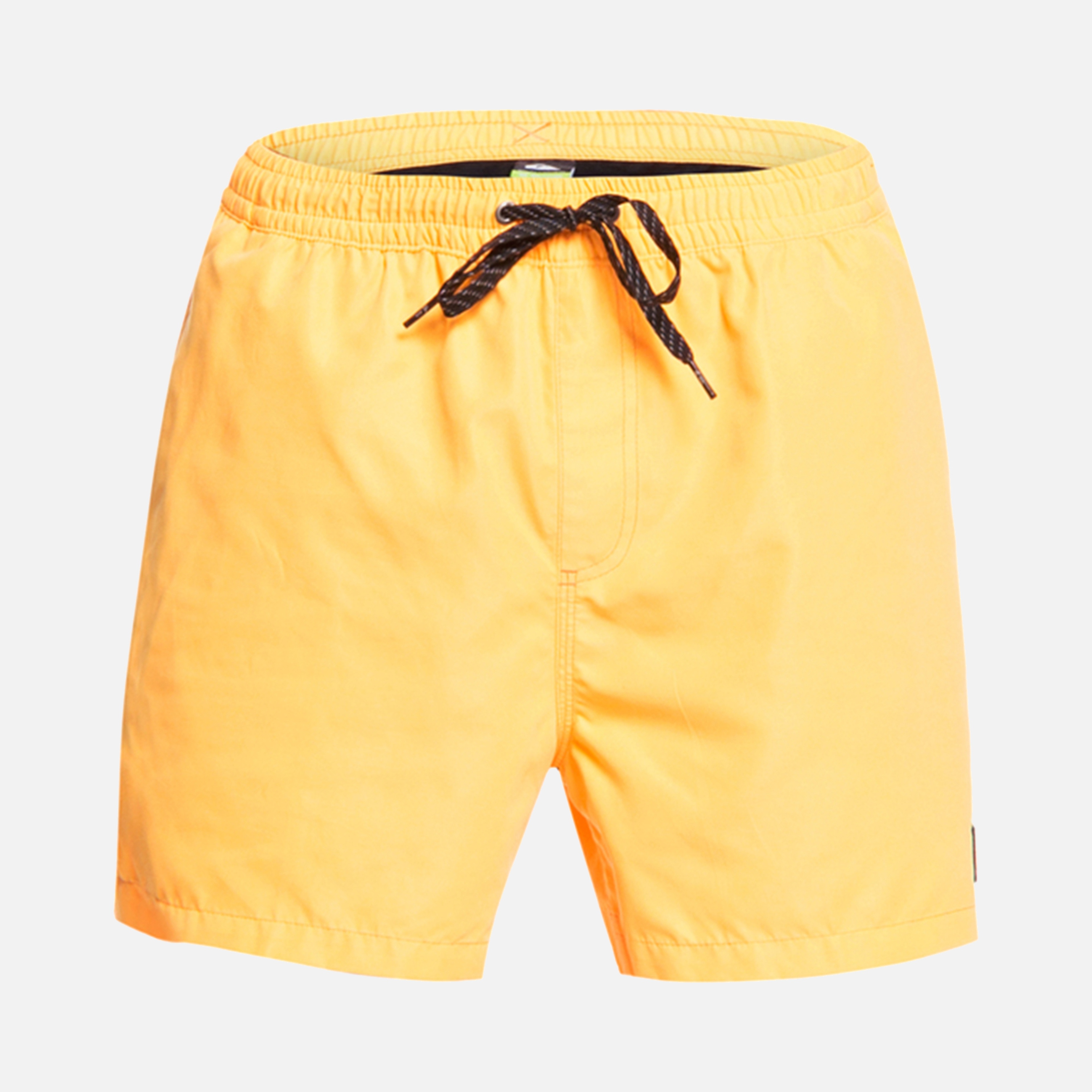 Quiksilver Everyday 15'' Erkek Şort Mayo