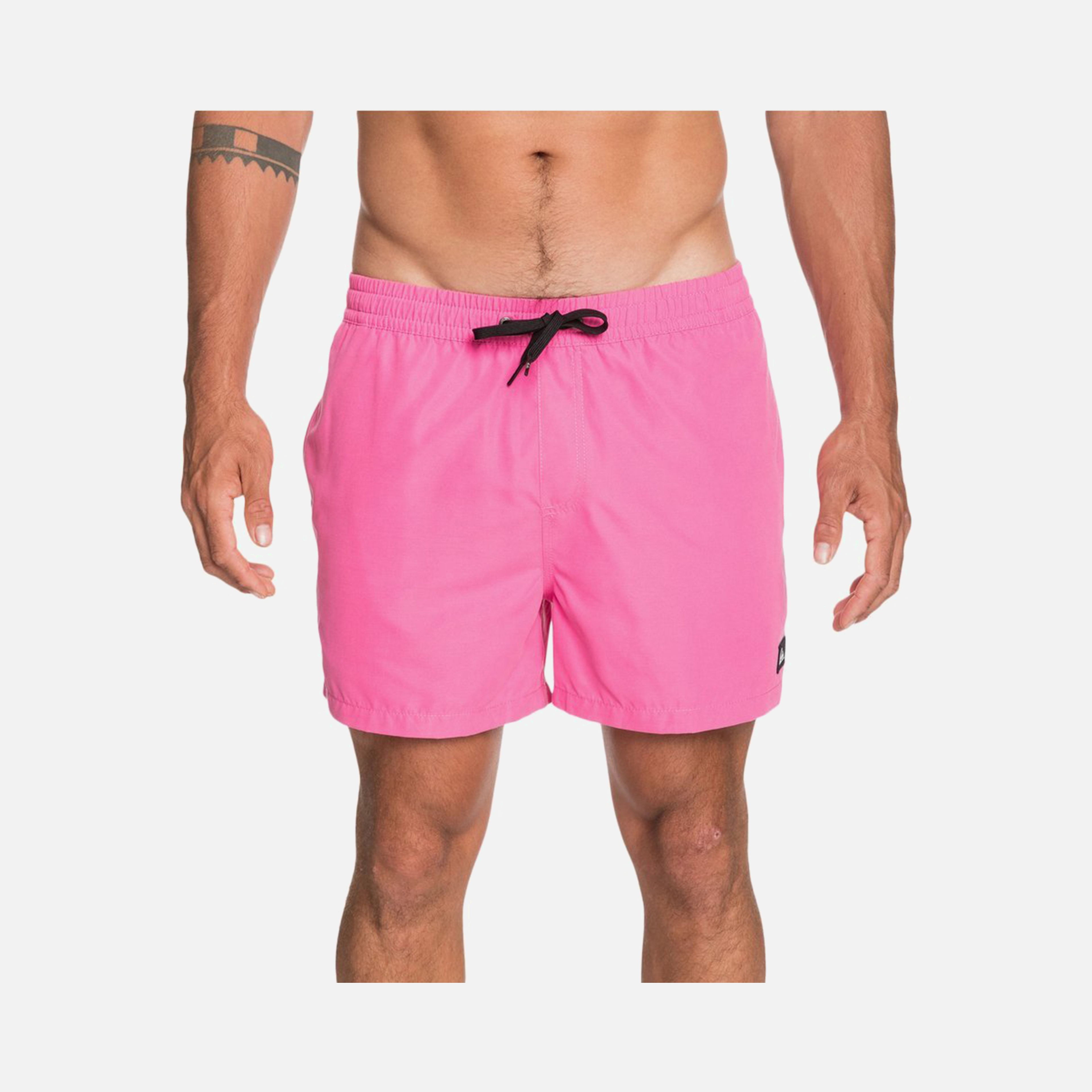 Quiksilver Everyday 15'' Erkek Şort Mayo