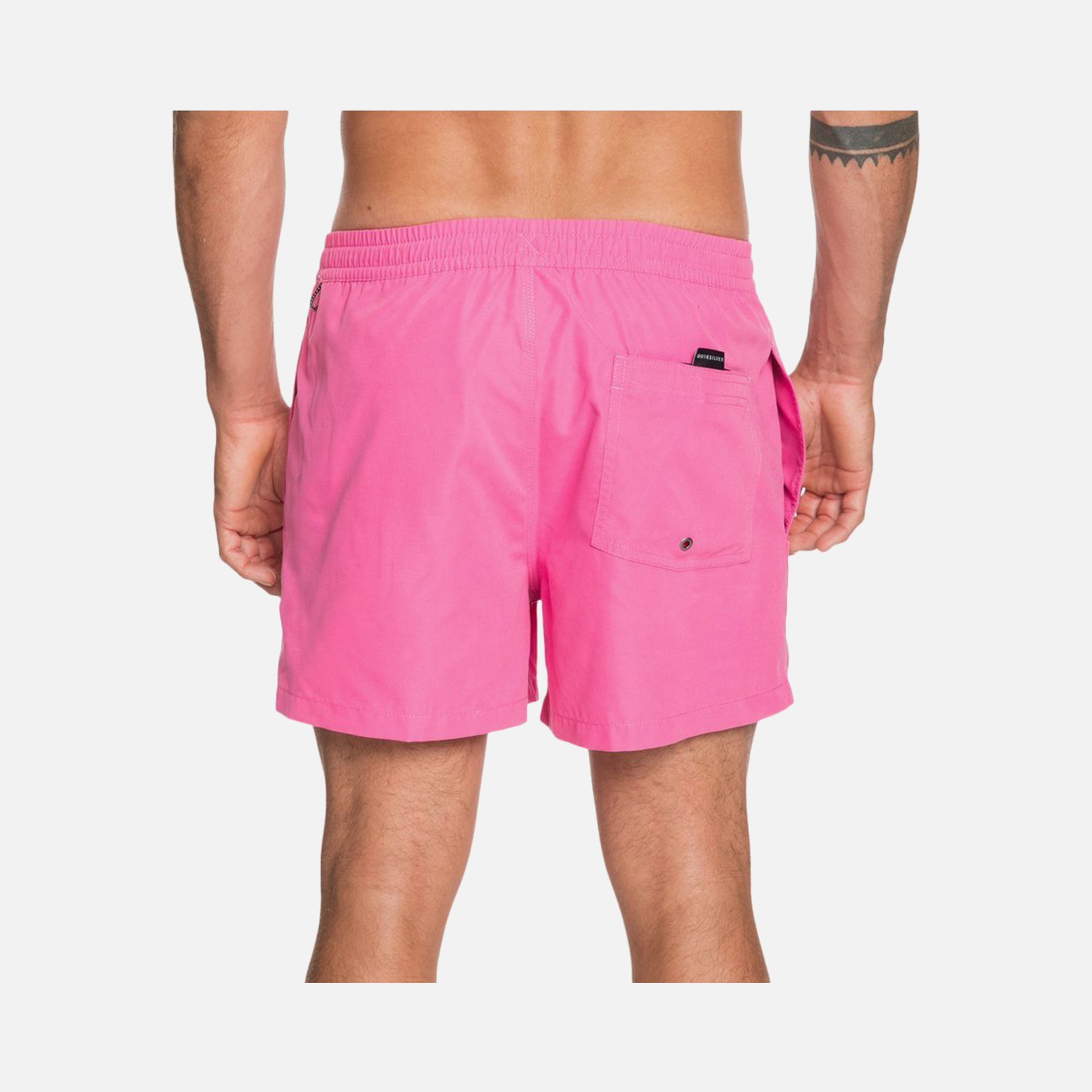 Quiksilver Everyday 15'' Erkek Şort Mayo