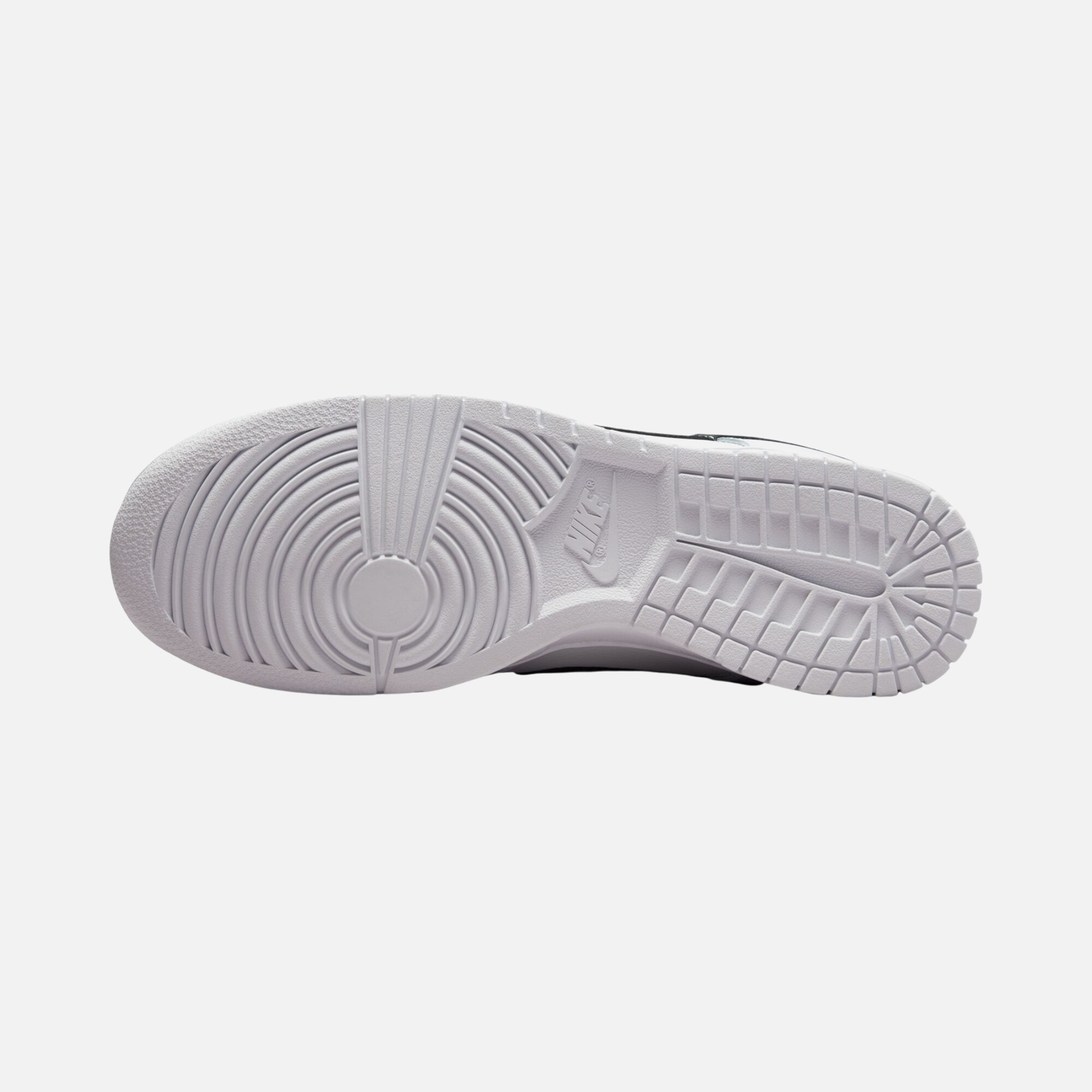 Nike Dunk Low Retro CO Erkek Spor Ayakkabı