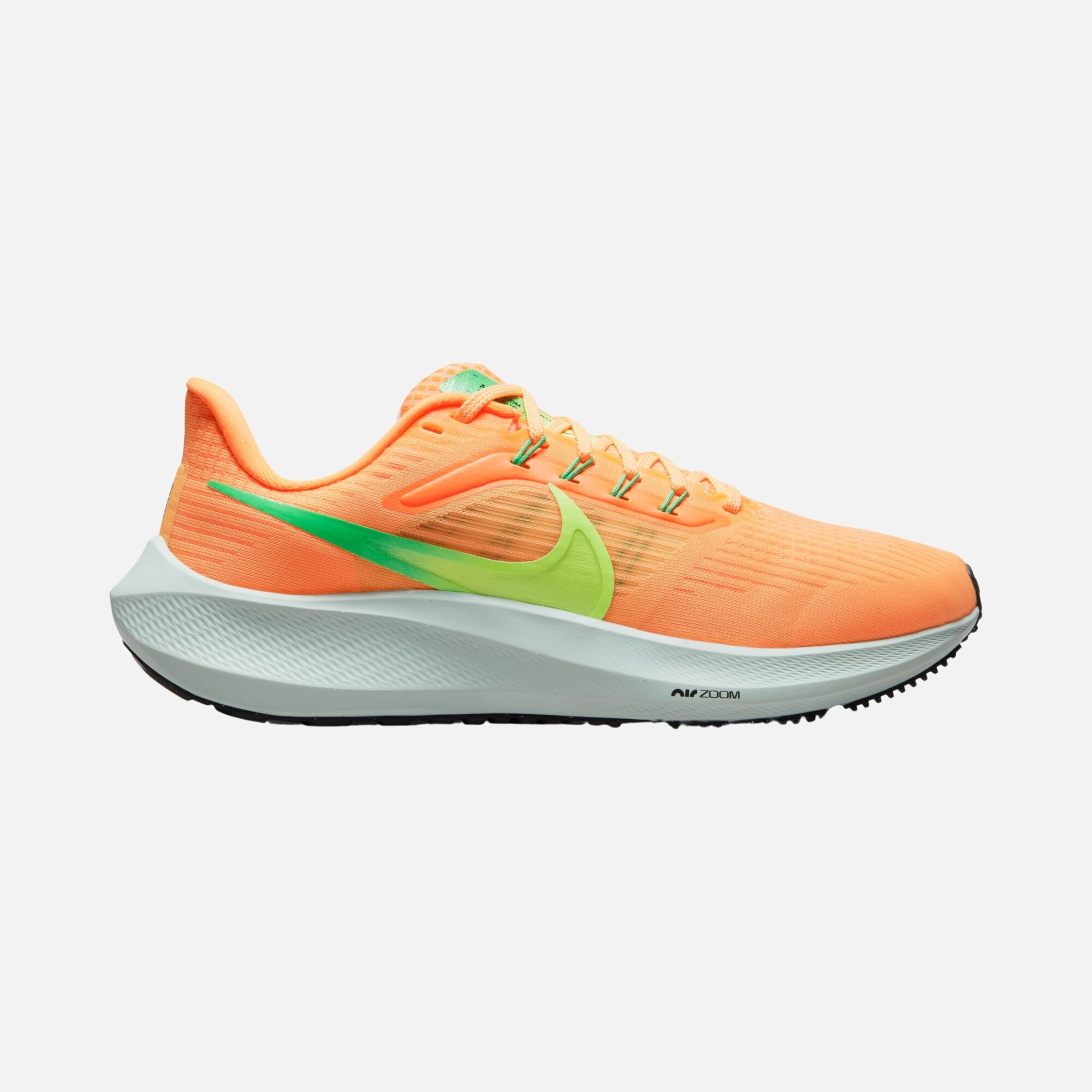 Nike Air Zoom Pegasus 39 Road Running Kadın Spor Ayakkabı